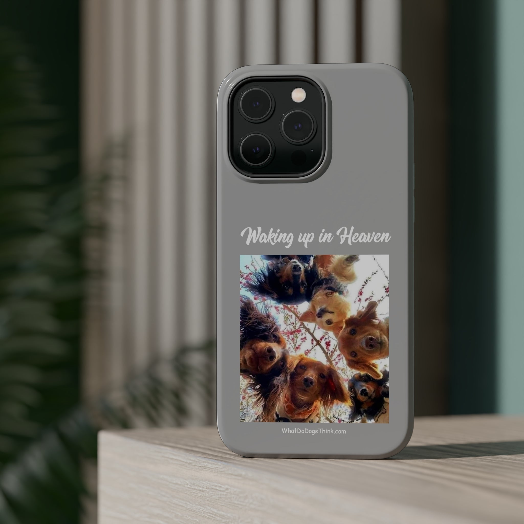 Waking Up In Heaven Gray MagSafe Tough Cases