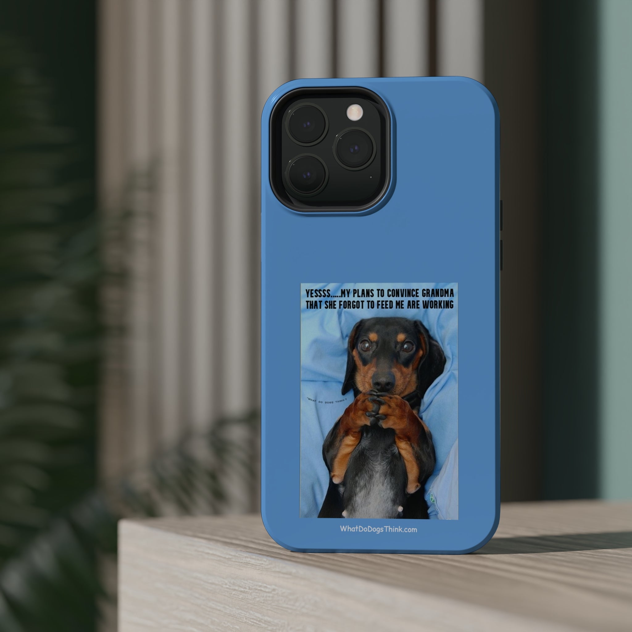 Grandma Blue MagSafe Tough Cases