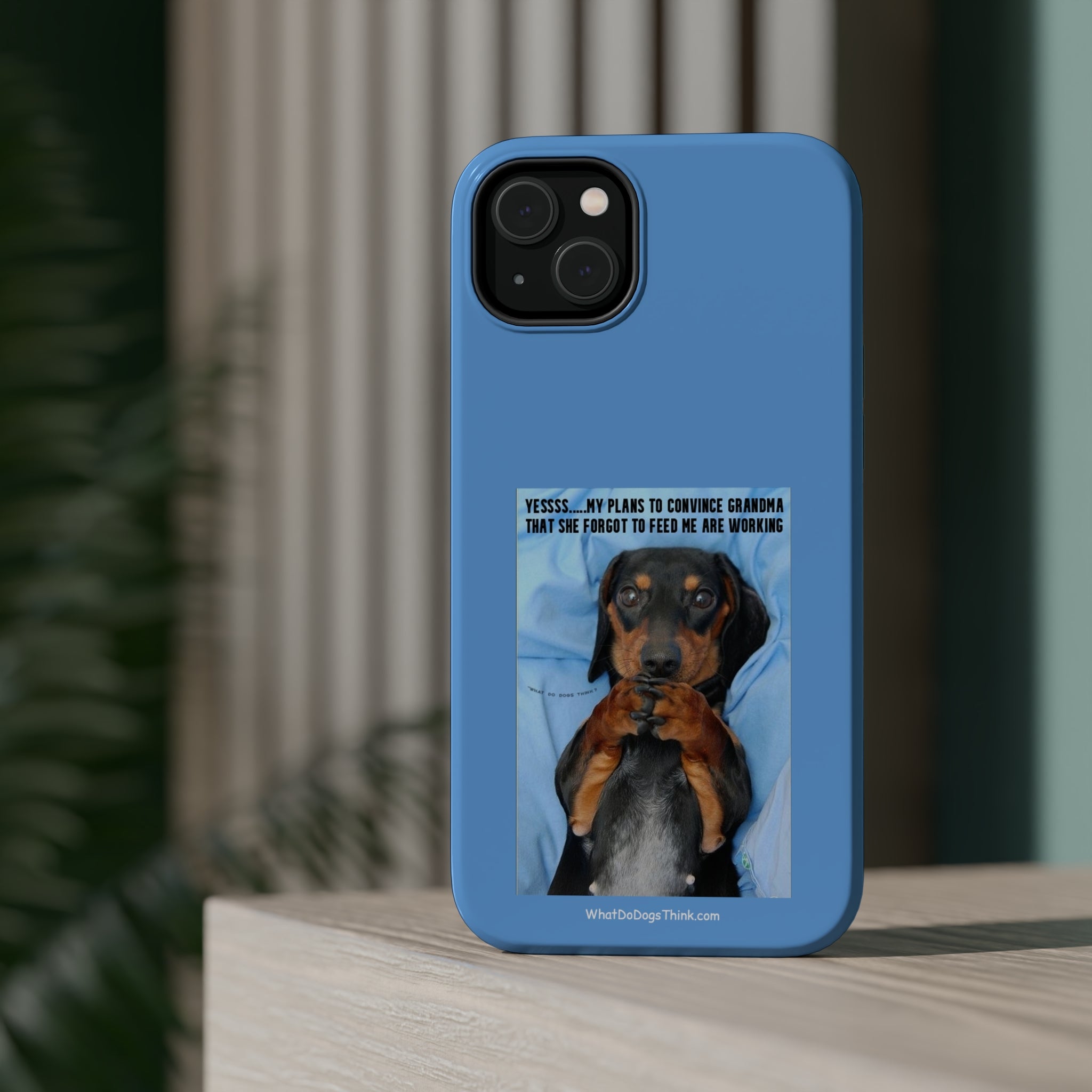 Grandma Blue MagSafe Tough Cases