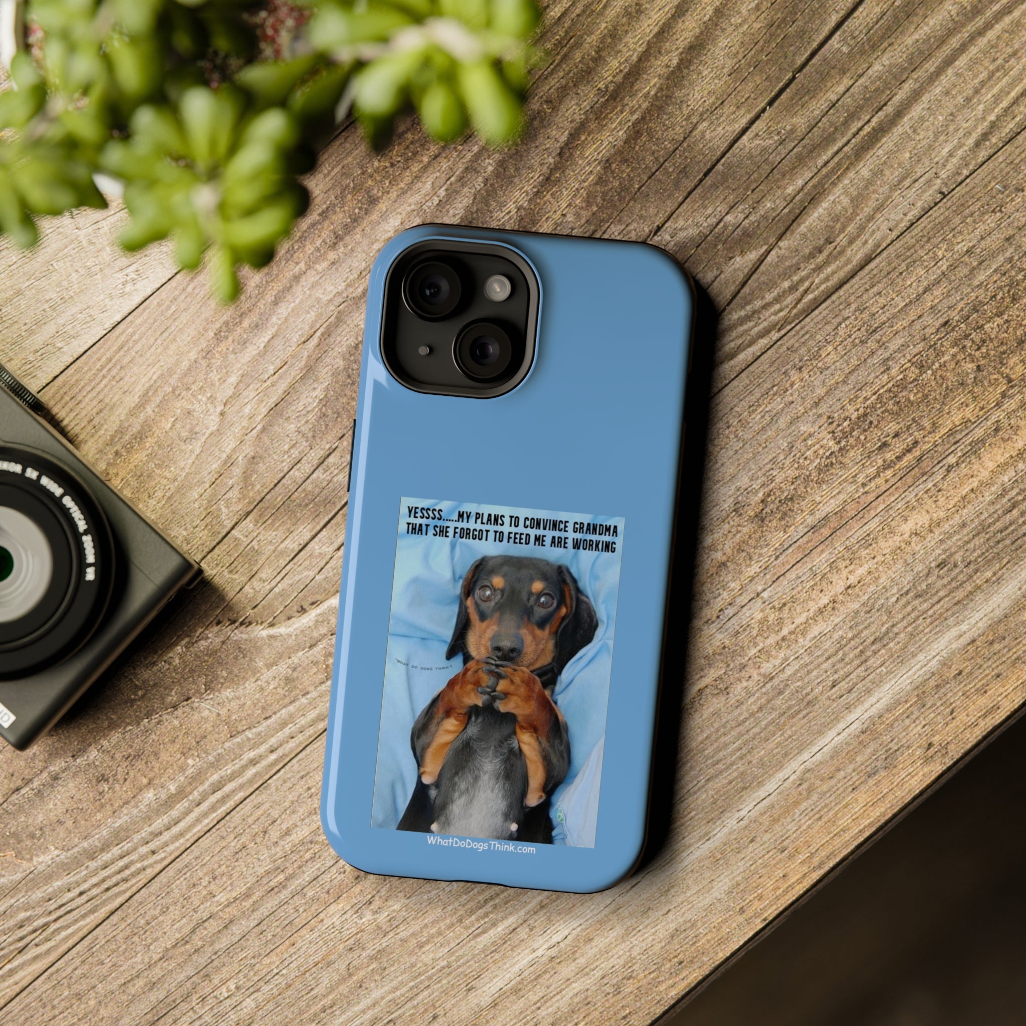 Grandma Blue MagSafe Tough Cases