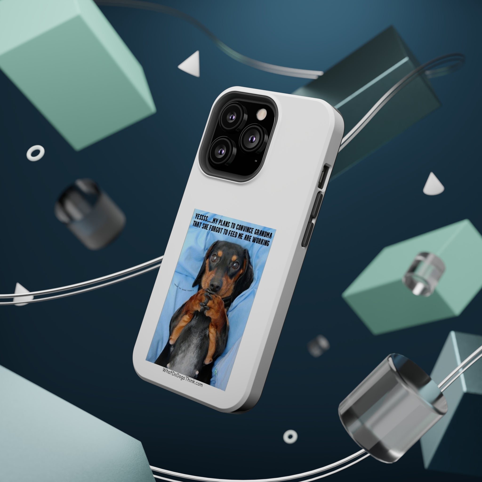 Grandma White MagSafe Tough Cases