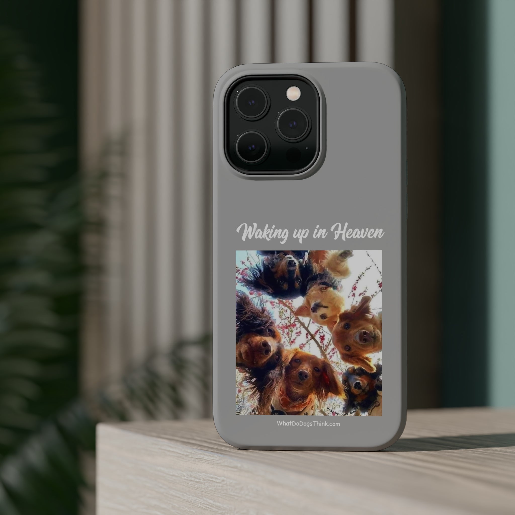 Waking Up In Heaven Gray MagSafe Tough Cases