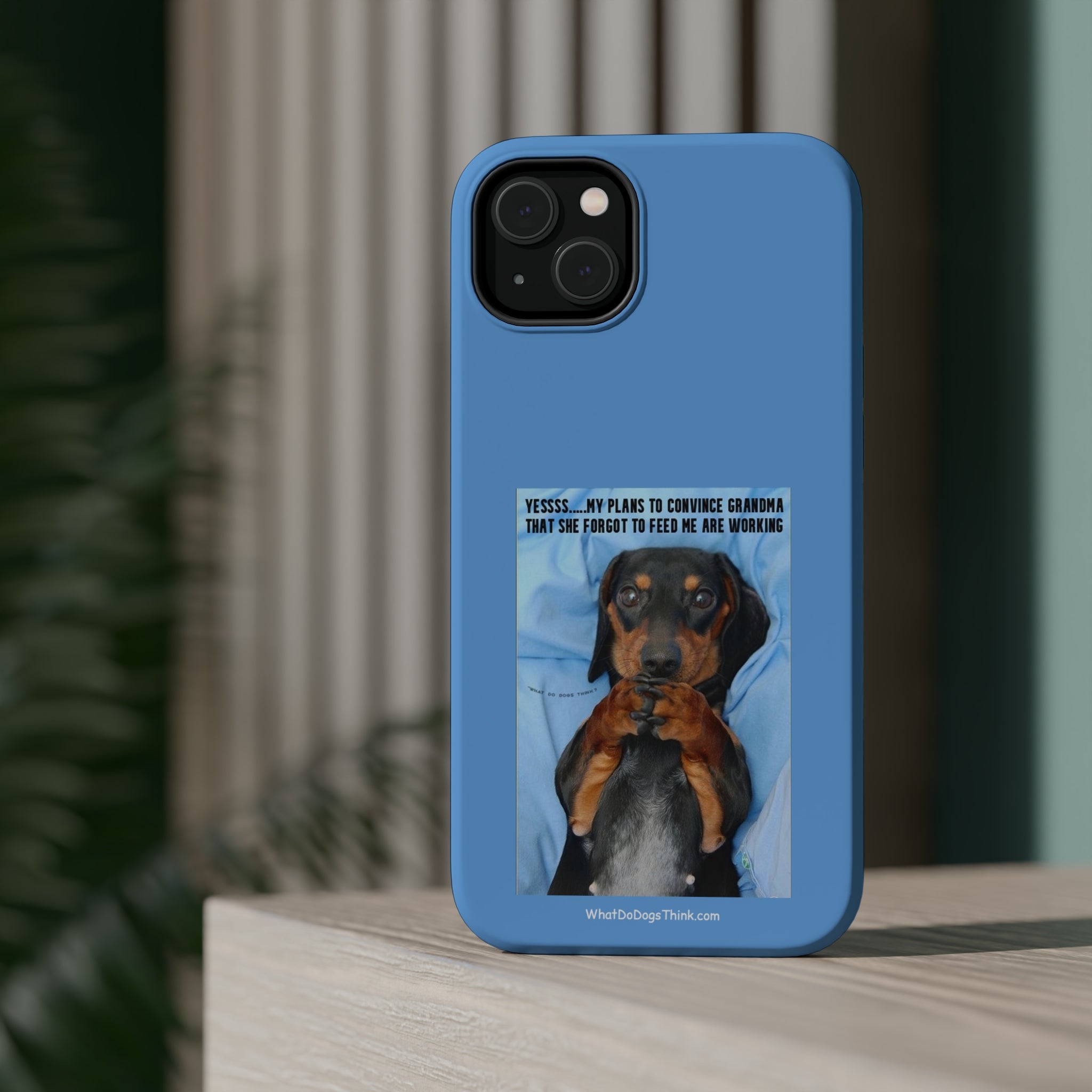 Grandma Blue MagSafe Tough Cases