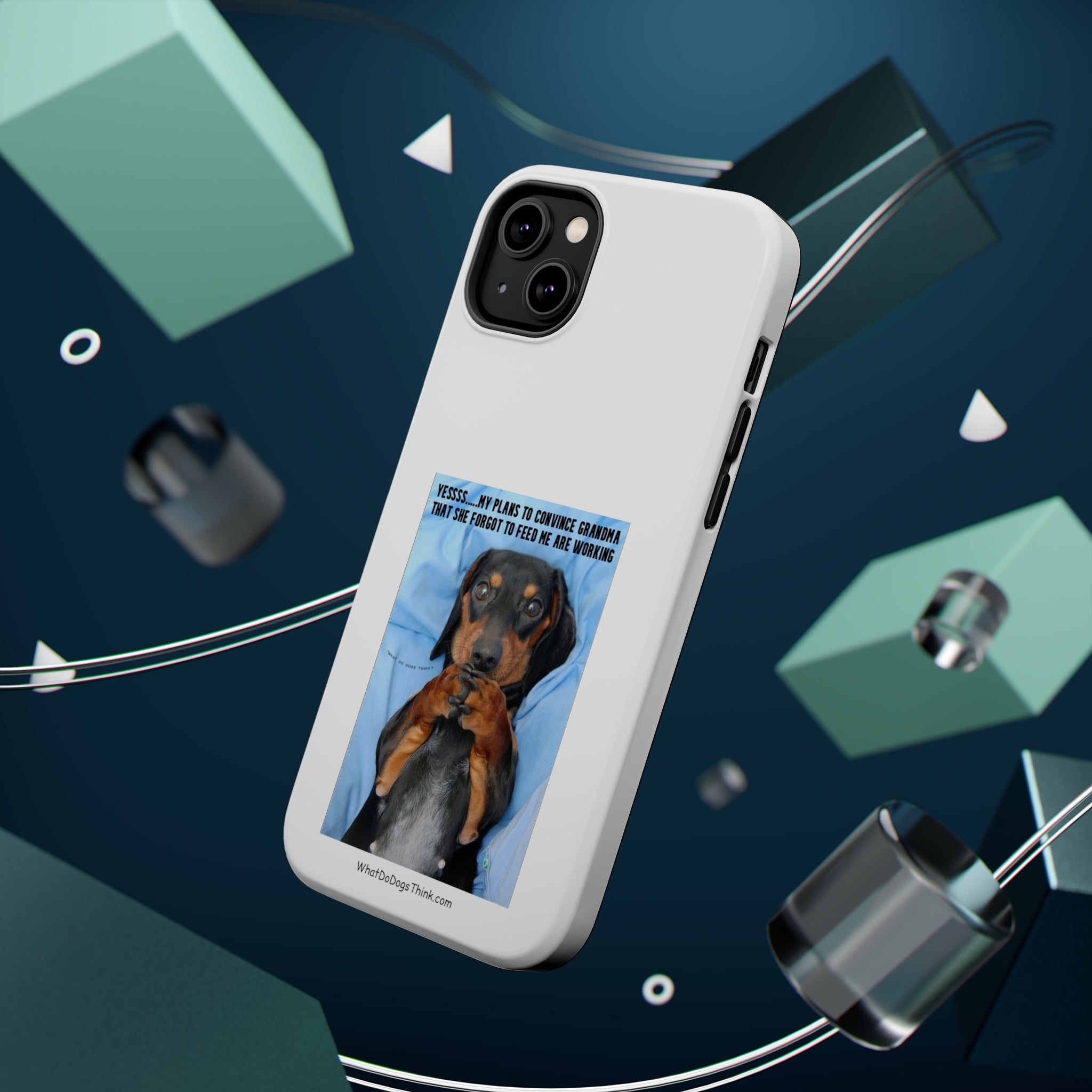 Grandma White MagSafe Tough Cases