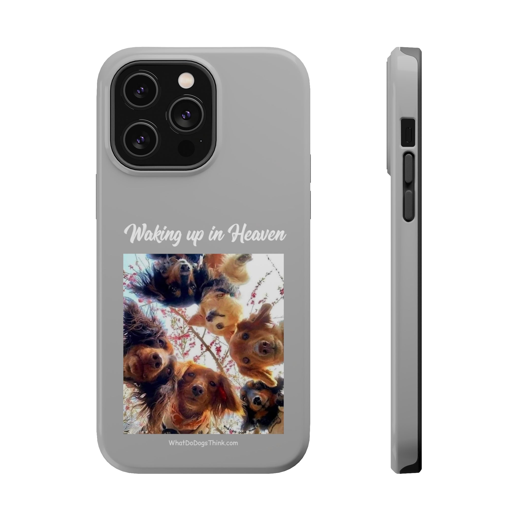 Waking Up In Heaven Gray MagSafe Tough Cases