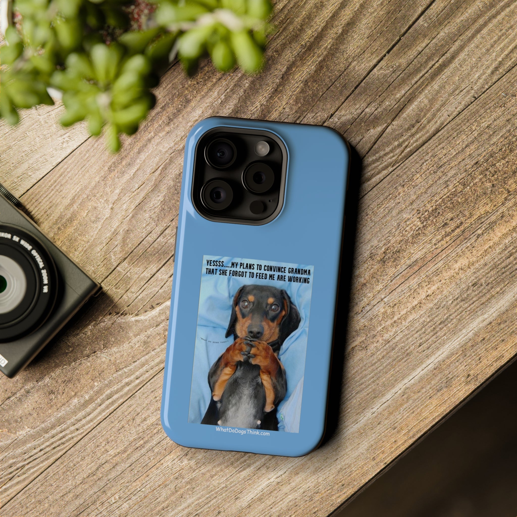 Grandma Blue MagSafe Tough Cases