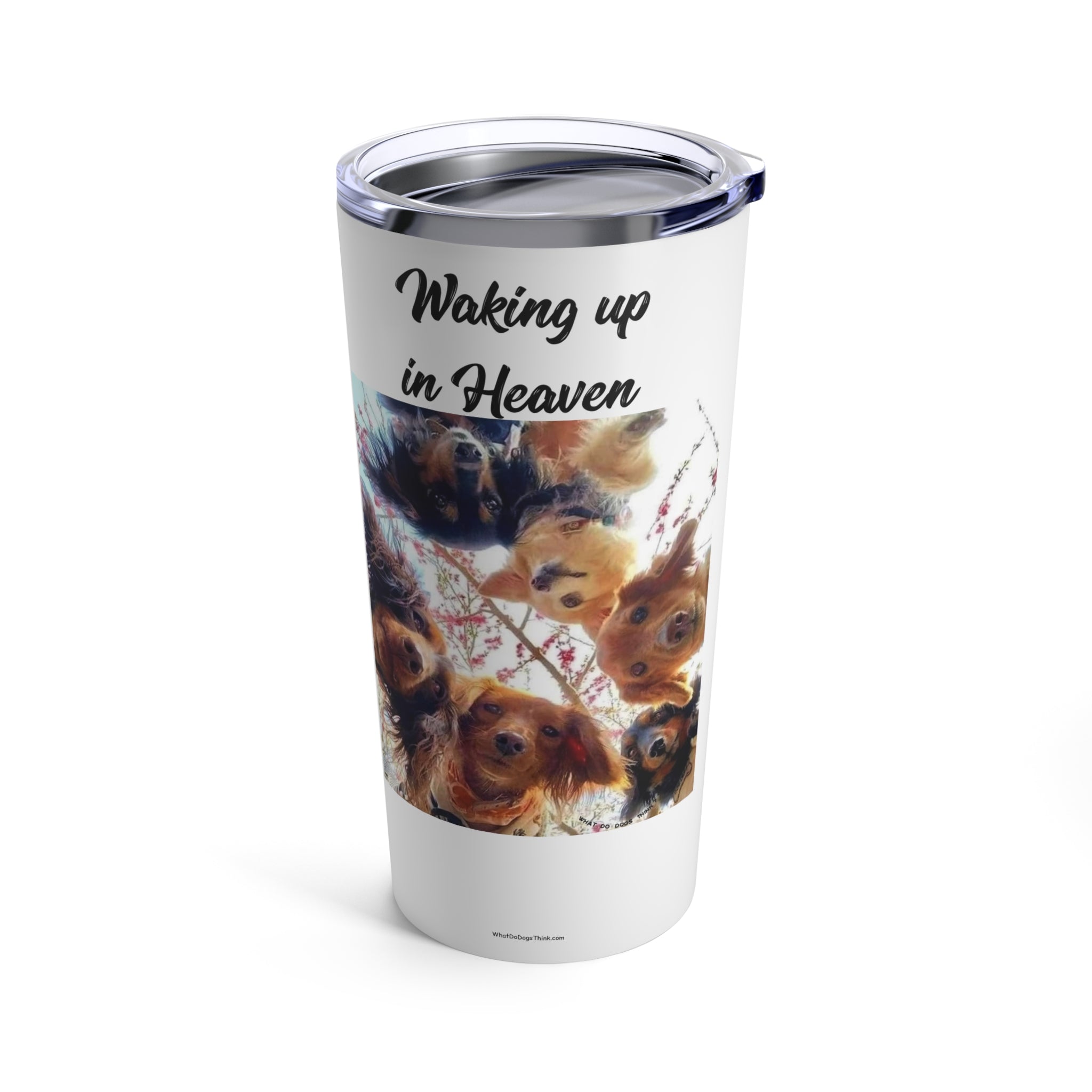 Are you OK White Tumbler 20oz