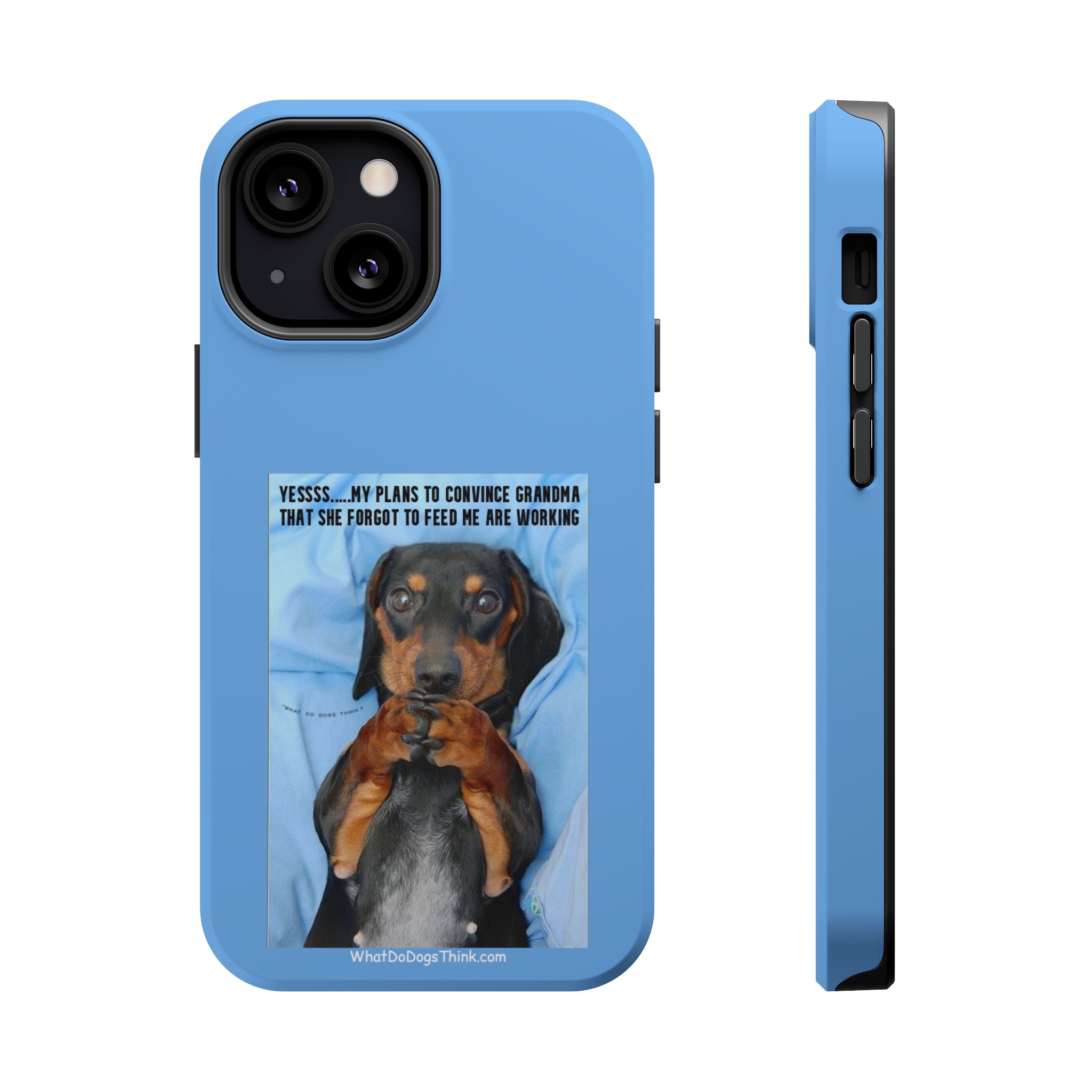 Grandma Blue MagSafe Tough Cases