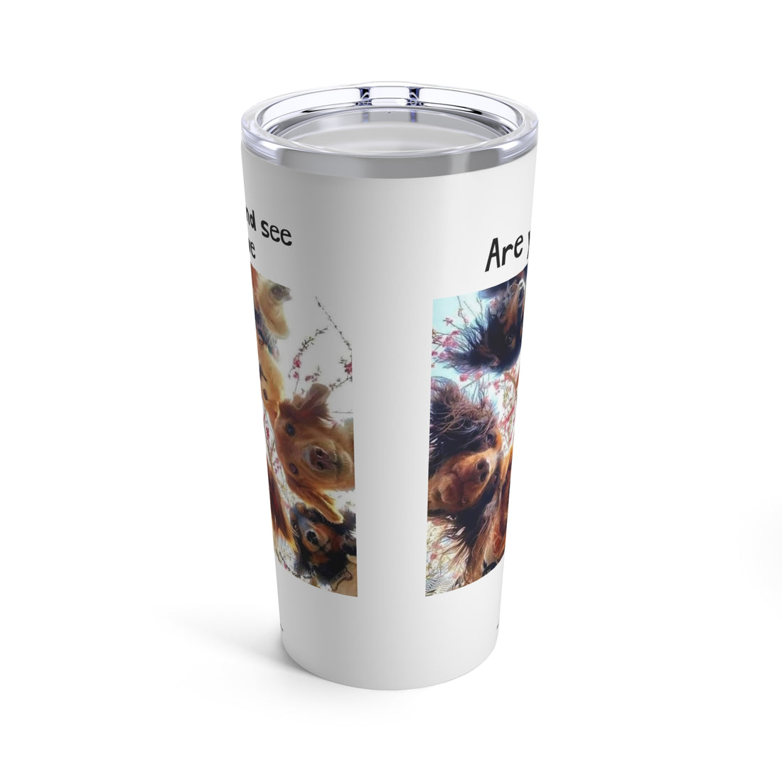 Are you OK White Tumbler 20oz