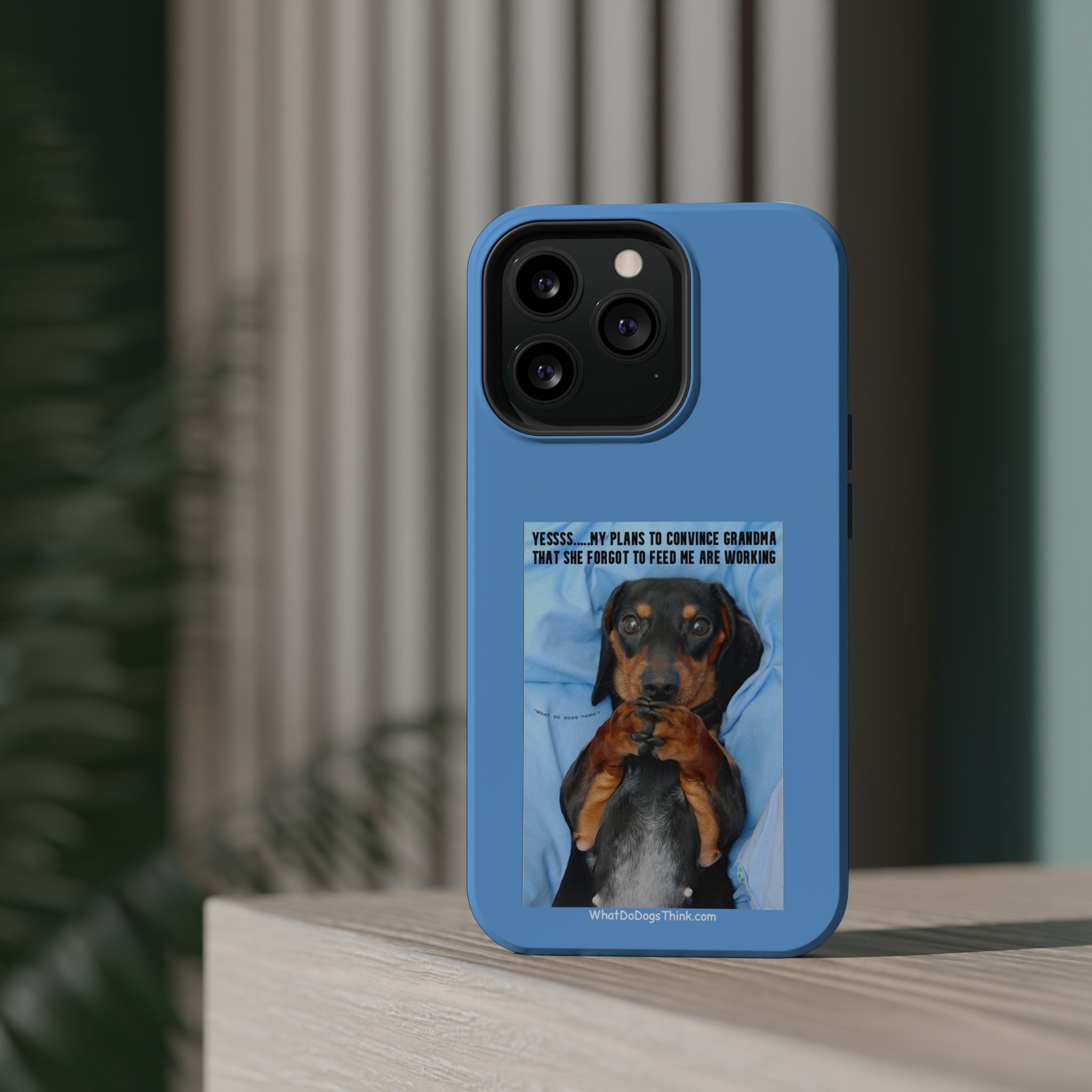 Grandma Blue MagSafe Tough Cases