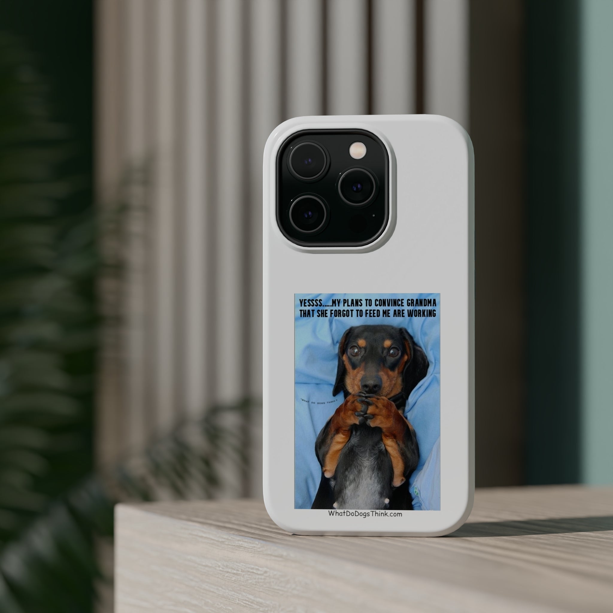 Grandma White MagSafe Tough Cases