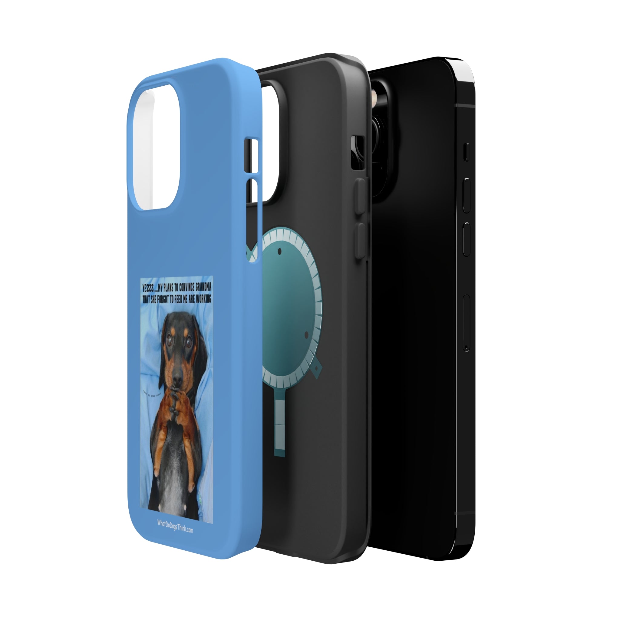 Grandma Blue MagSafe Tough Cases