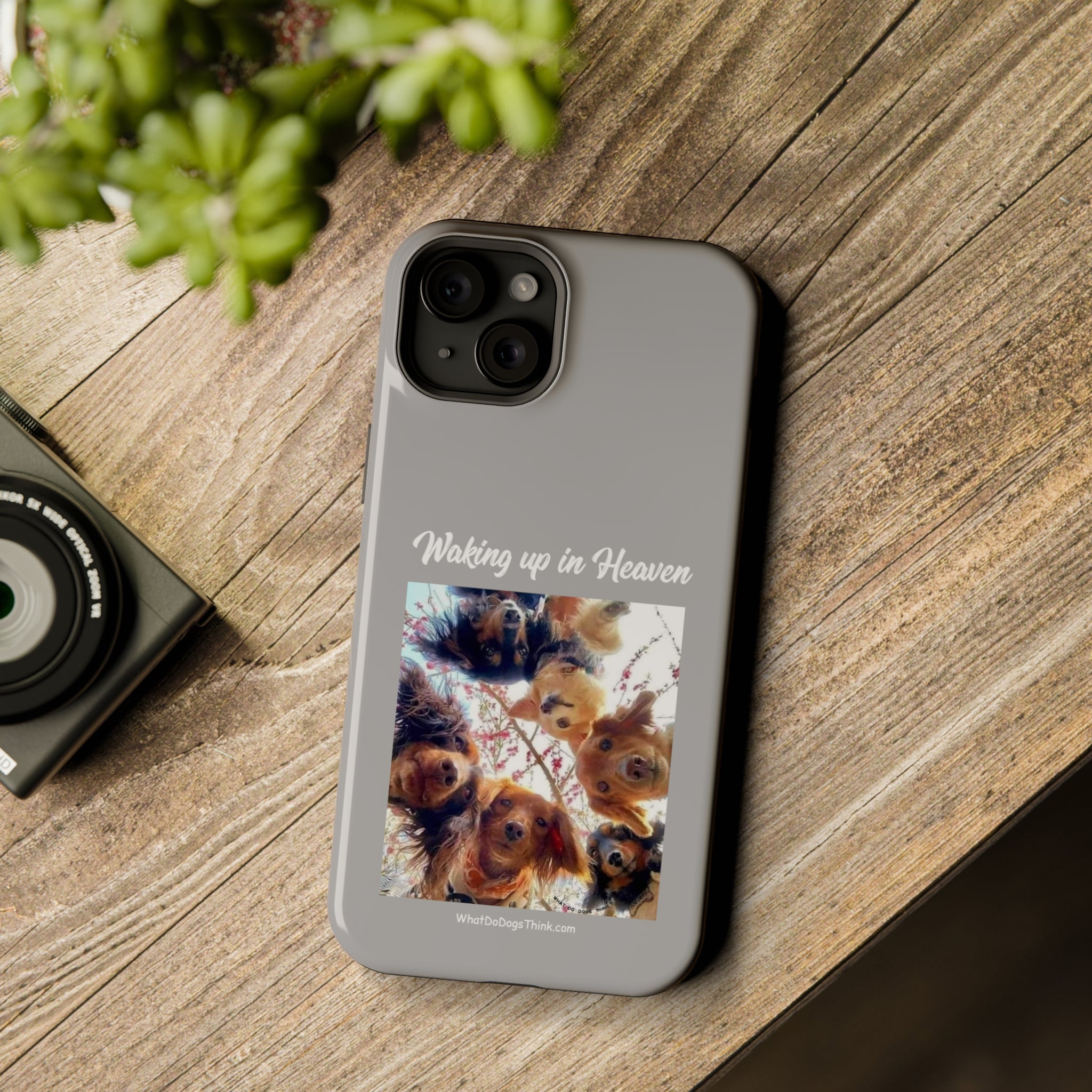 Waking Up In Heaven Gray MagSafe Tough Cases