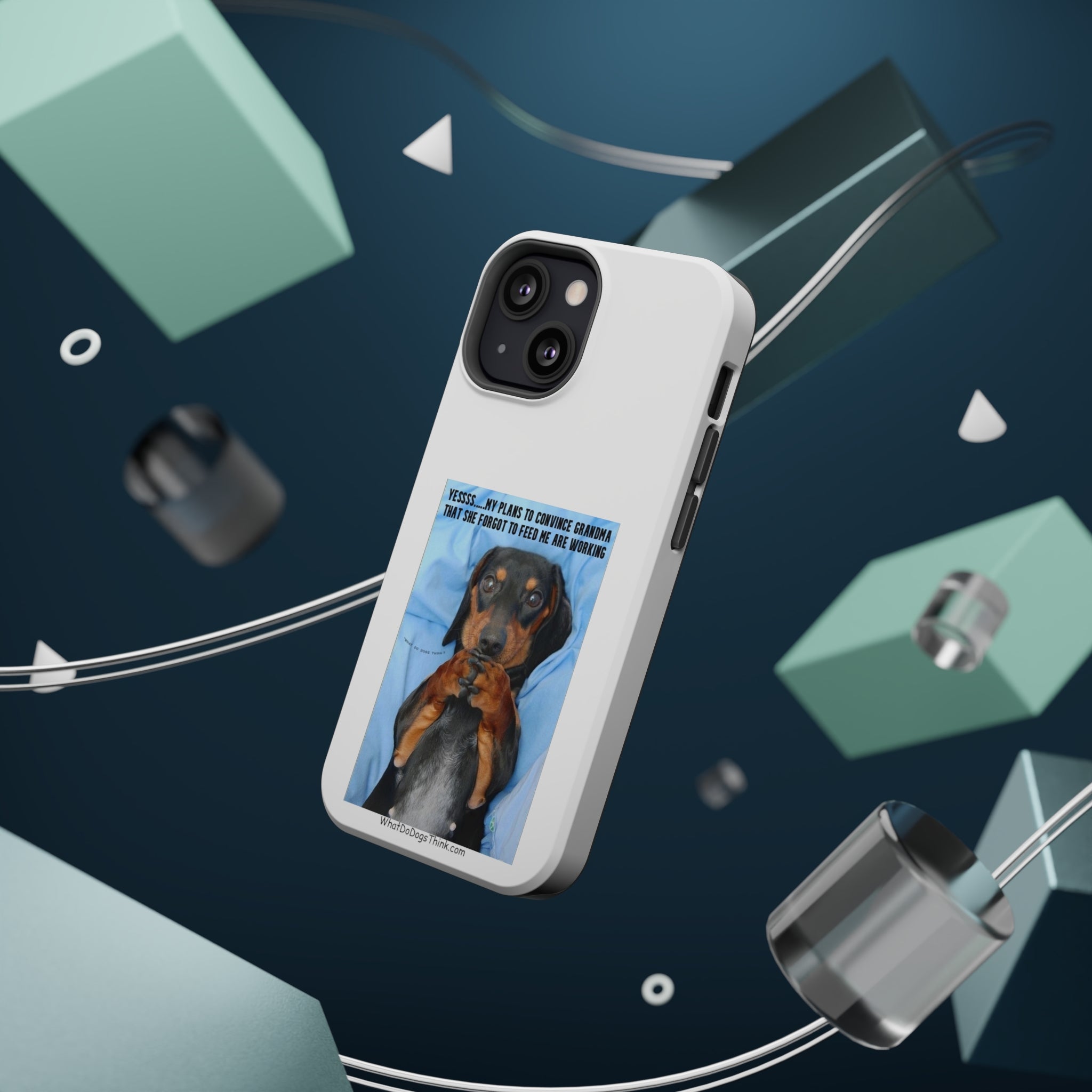 Grandma White MagSafe Tough Cases