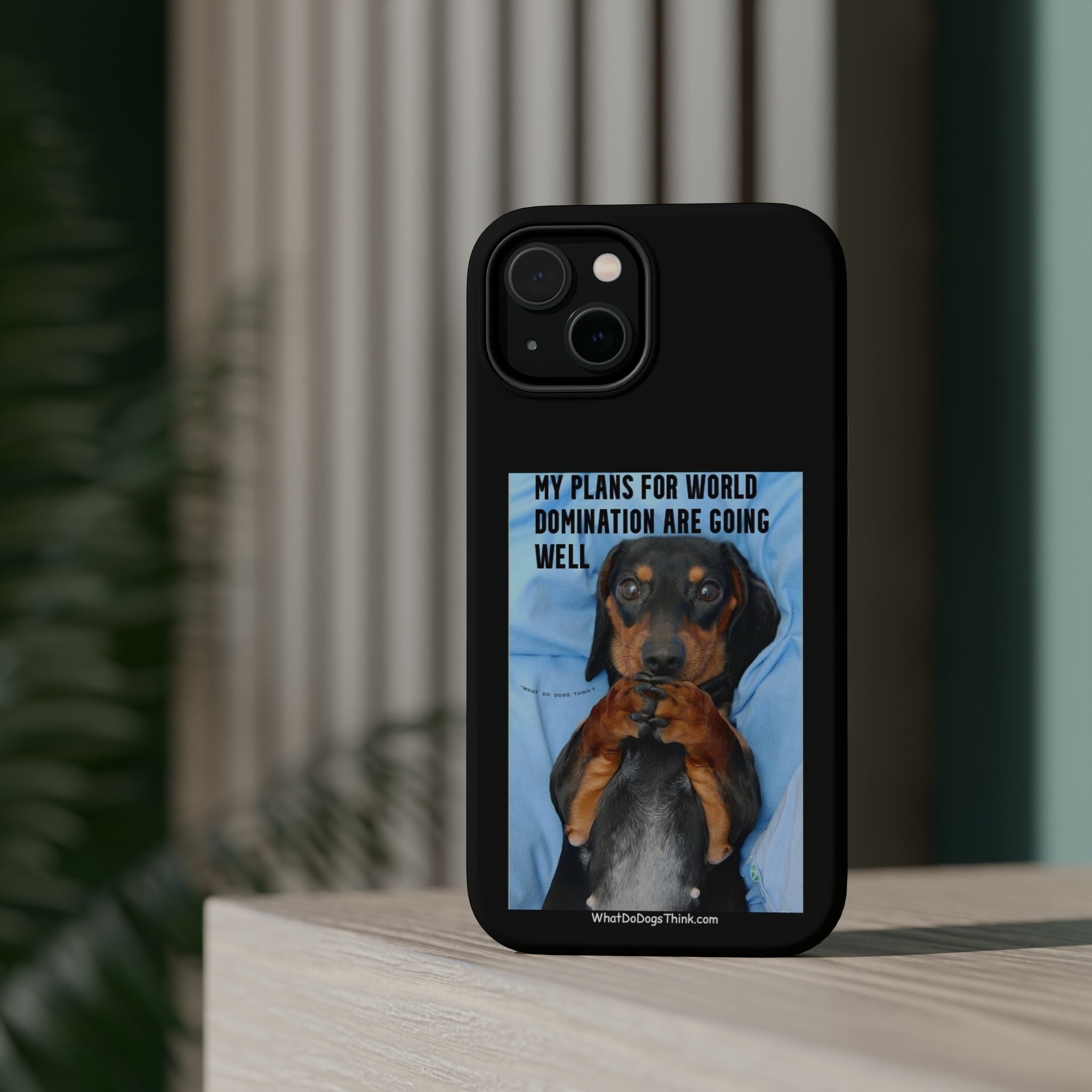 World Domination Black MagSafe Tough Cases