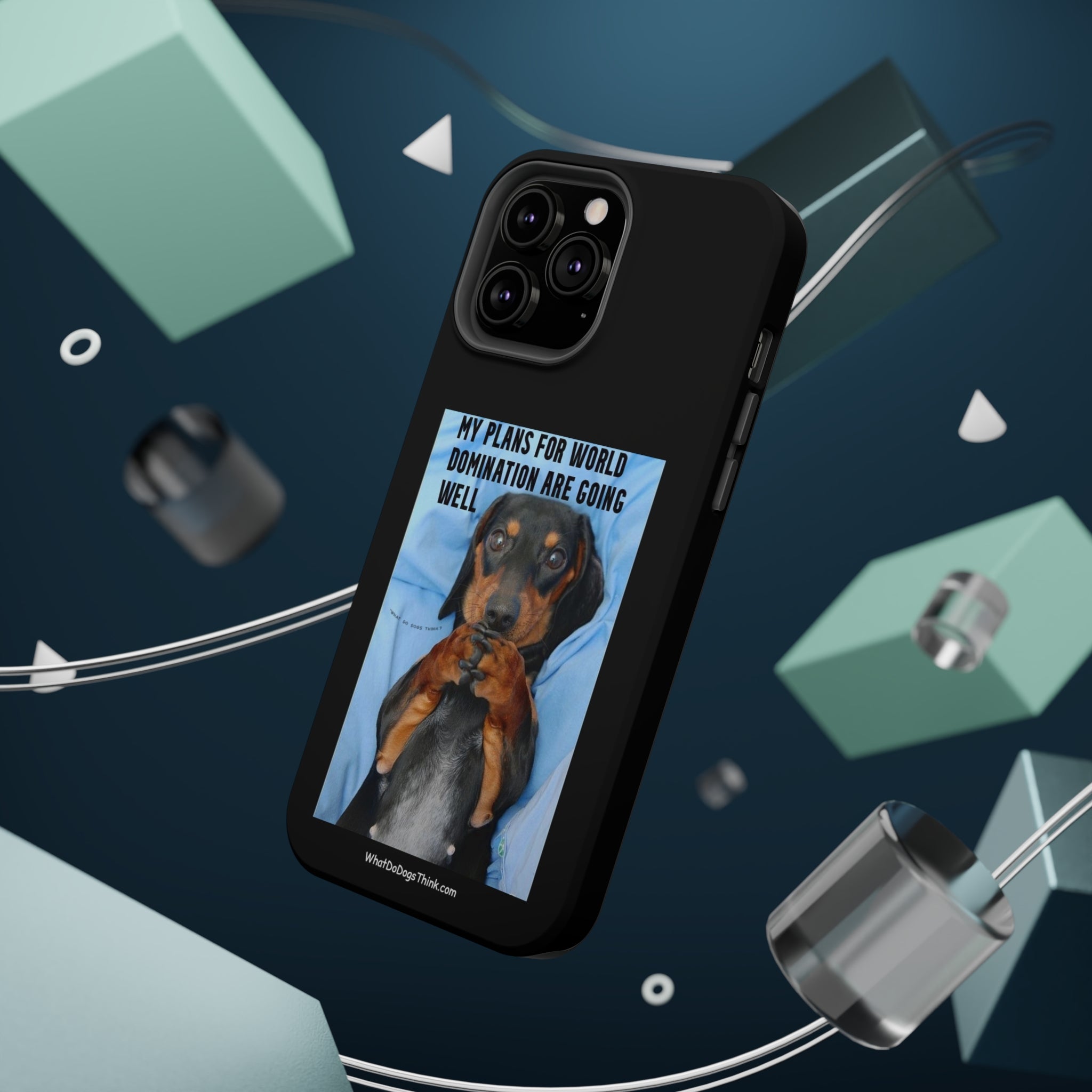 World Domination Black MagSafe Tough Cases