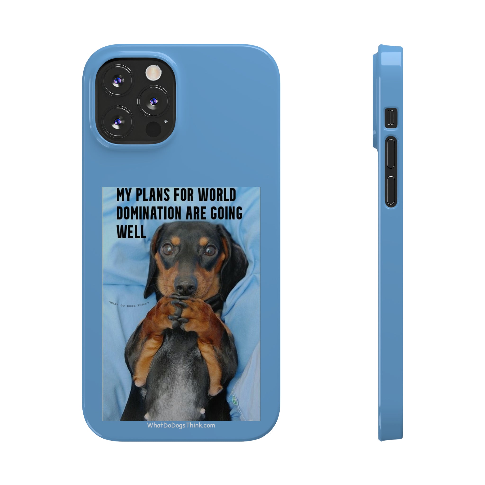 World Domination Blue Slim Phone Cases