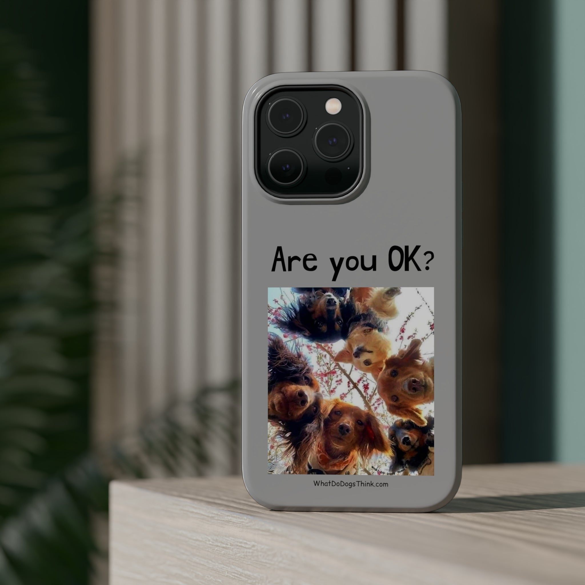 Are you OK? Grey MagSafe Tough Cases