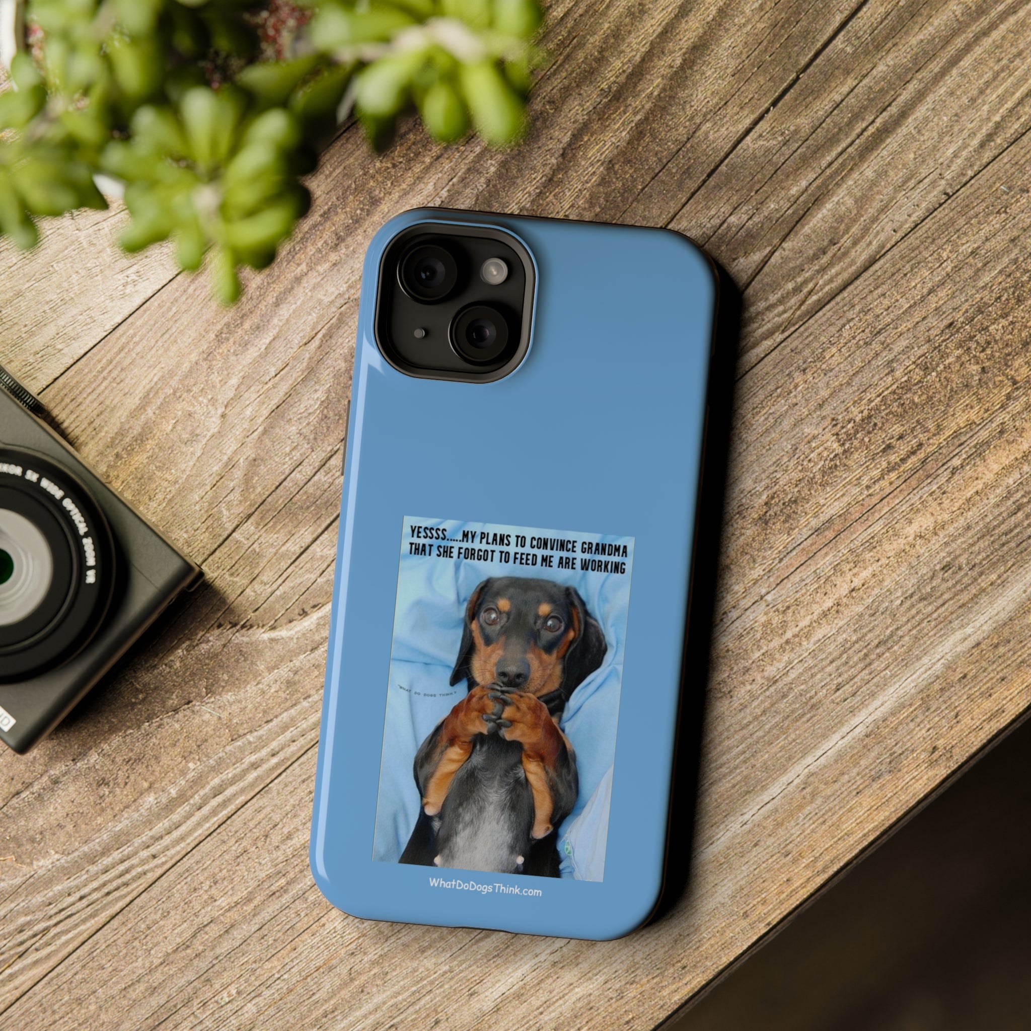 Grandma Blue MagSafe Tough Cases