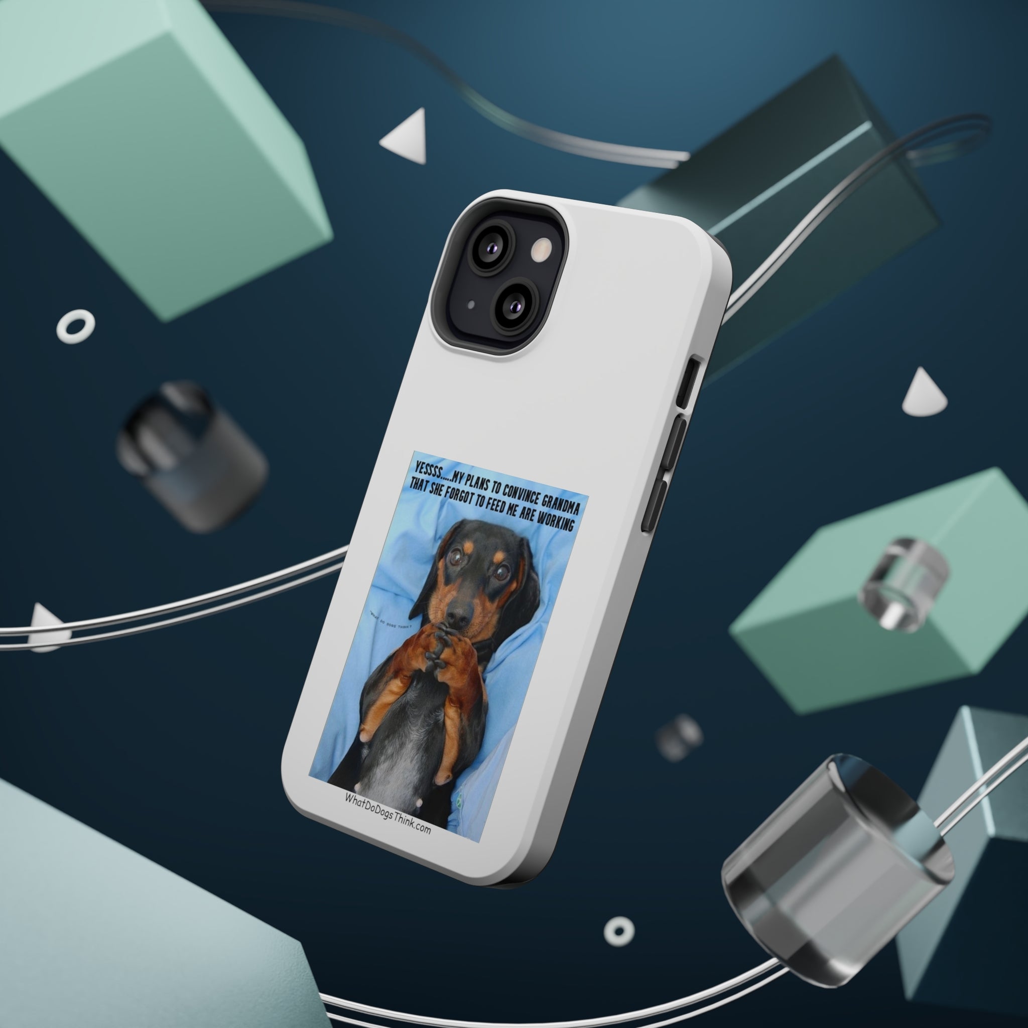 Grandma White MagSafe Tough Cases