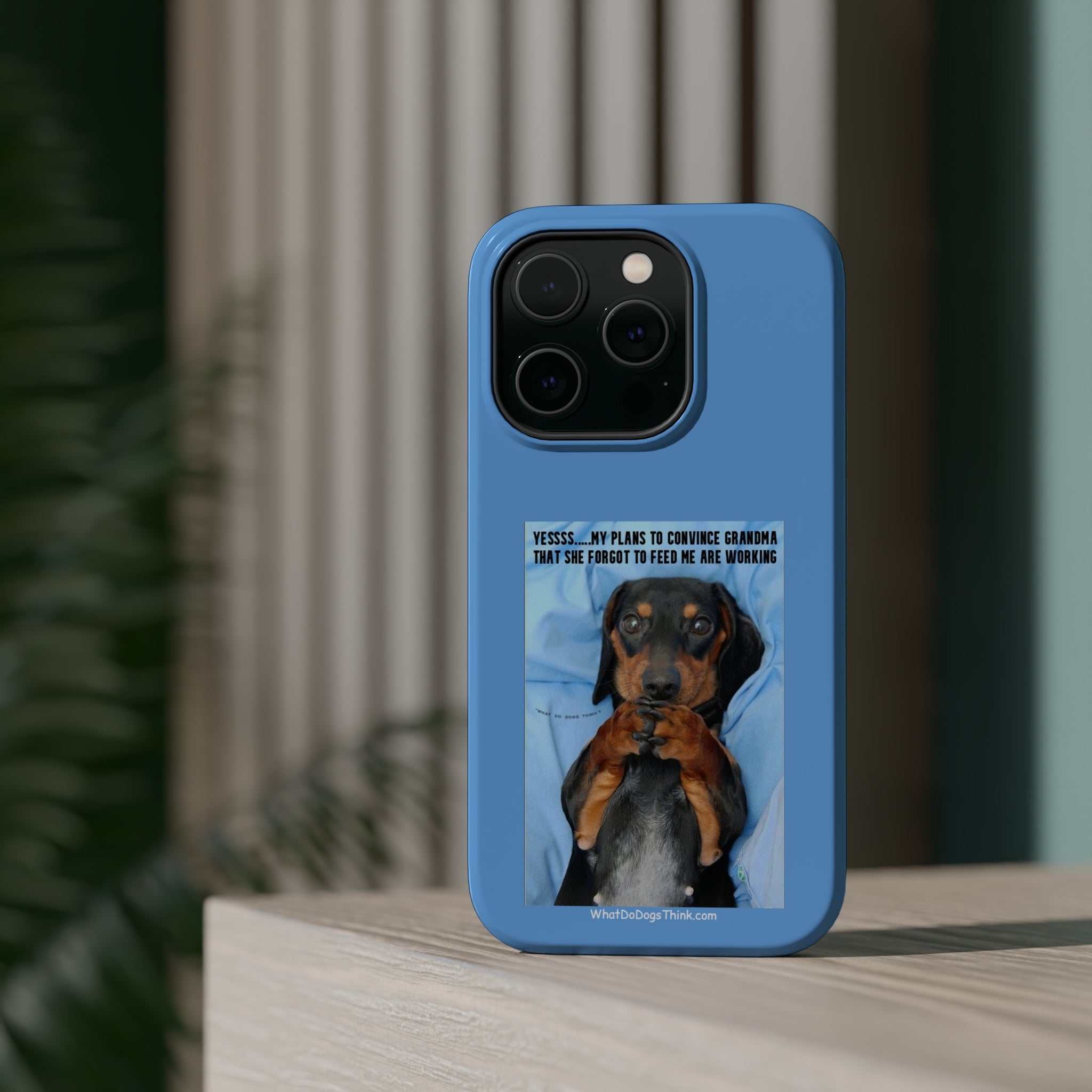 Grandma Blue MagSafe Tough Cases