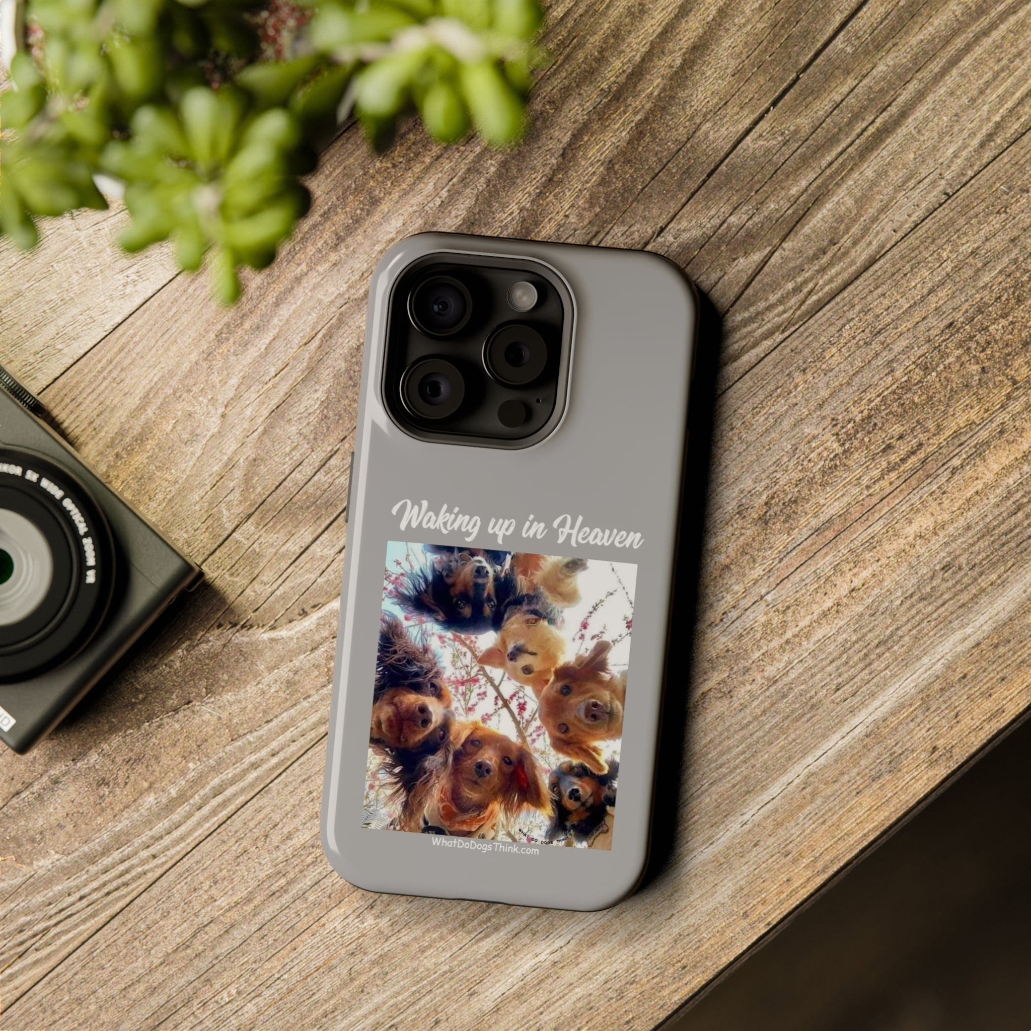 Waking Up In Heaven Gray MagSafe Tough Cases