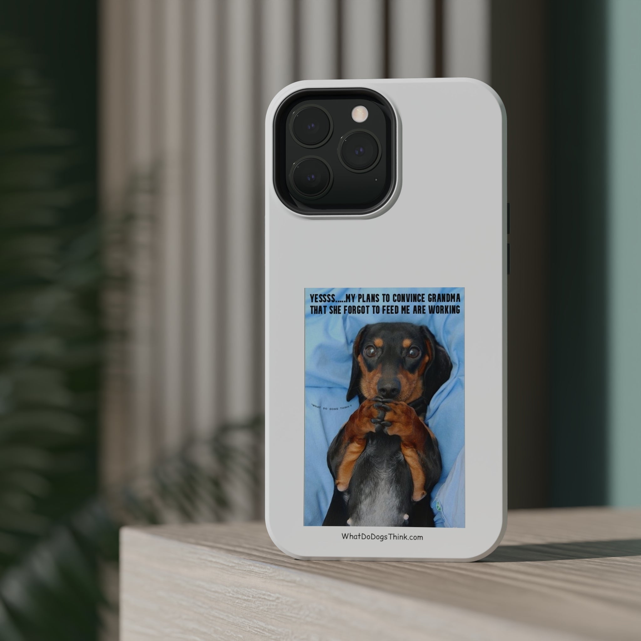 Grandma White MagSafe Tough Cases