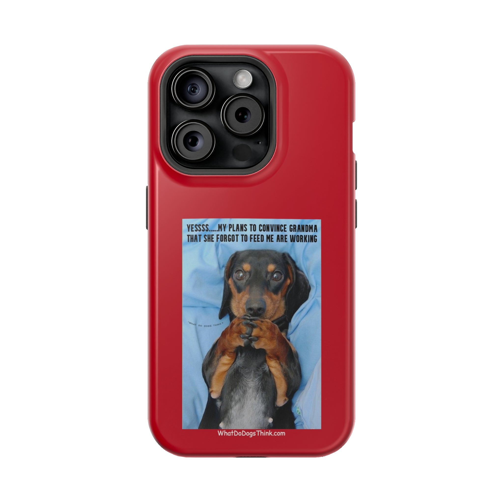 Grandma Red MagSafe Tough Cases