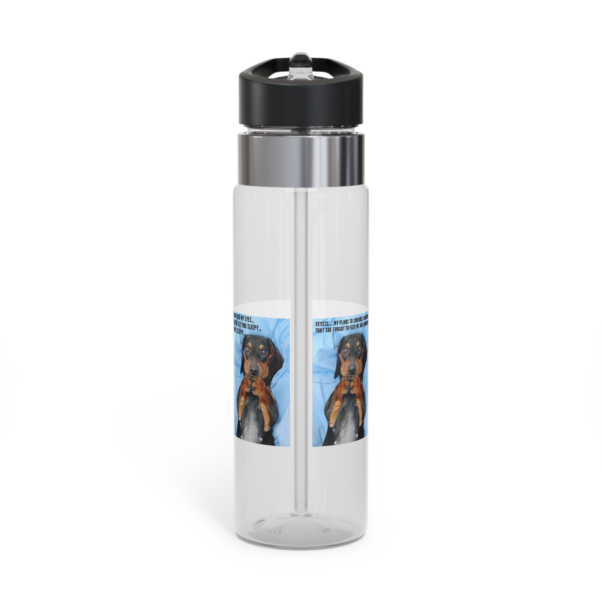 Devious Dachshound Sport Bottle, 20oz