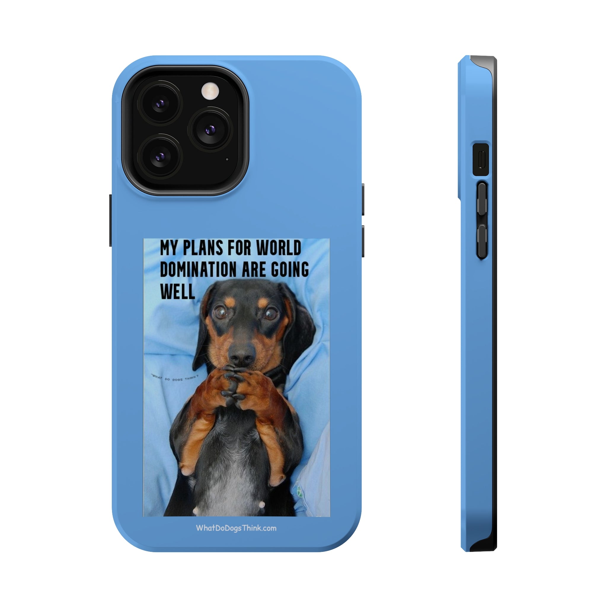 World Domination Blue MagSafe Tough Cases