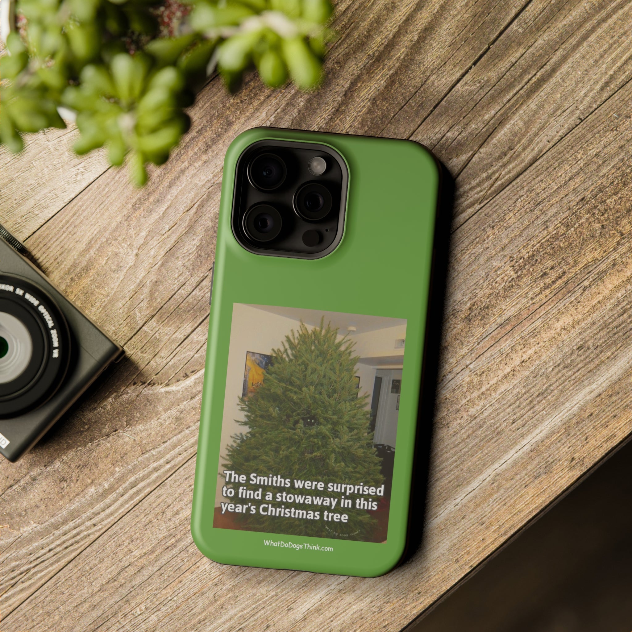 Stowaway Cat Green MagSafe Tough Case