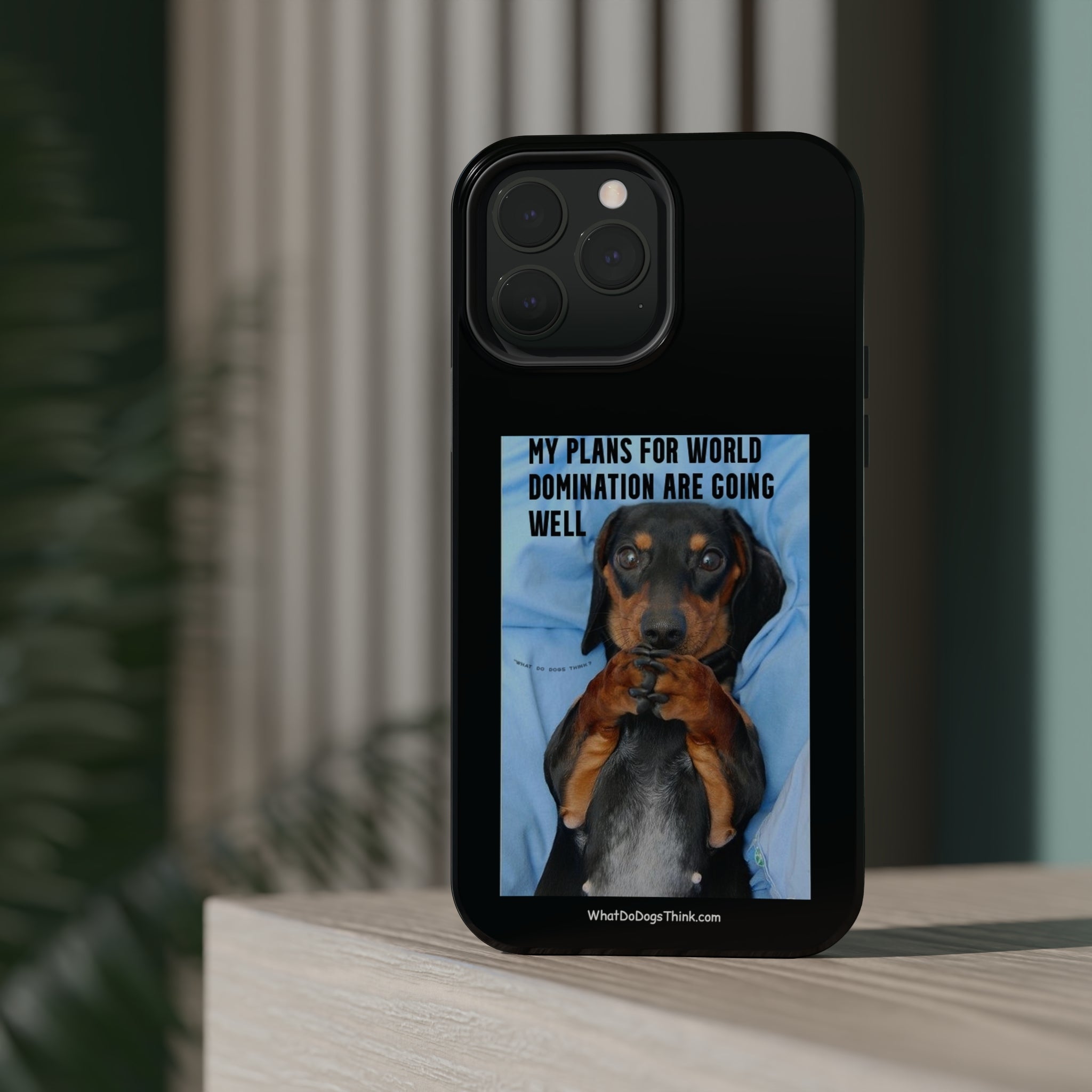 World Domination Black MagSafe Tough Cases