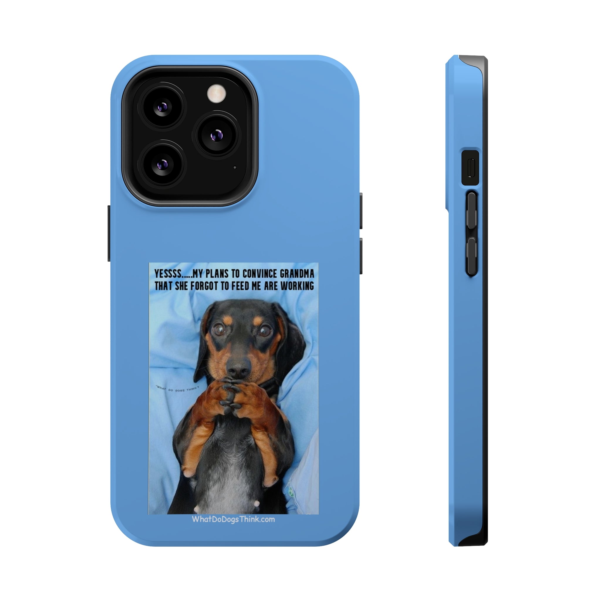 Grandma Blue MagSafe Tough Cases