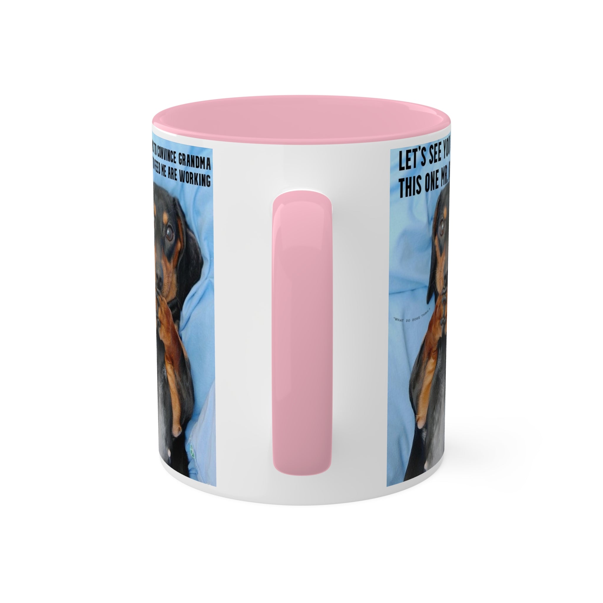 Devious Dachshund Mug