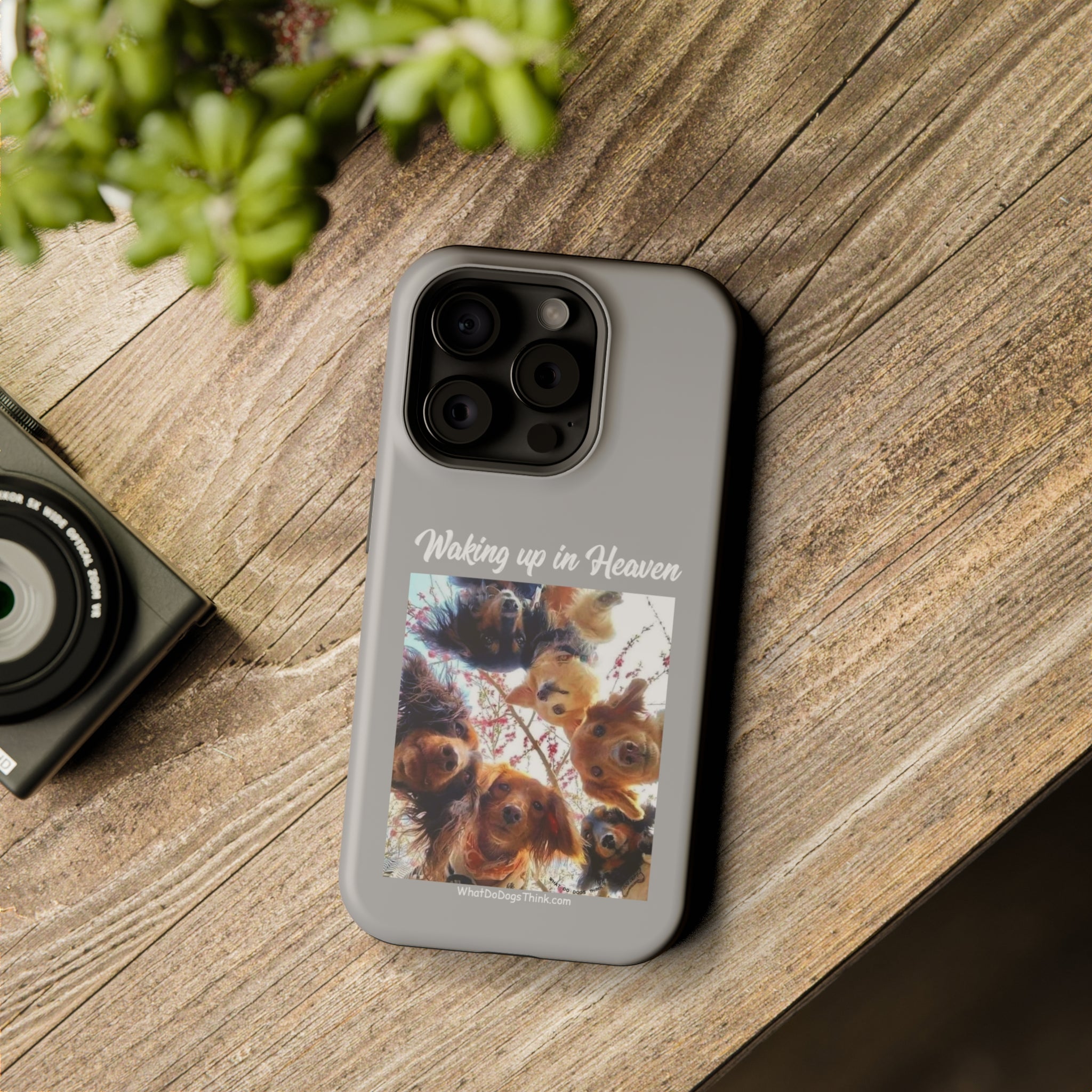 Waking Up In Heaven Gray MagSafe Tough Cases