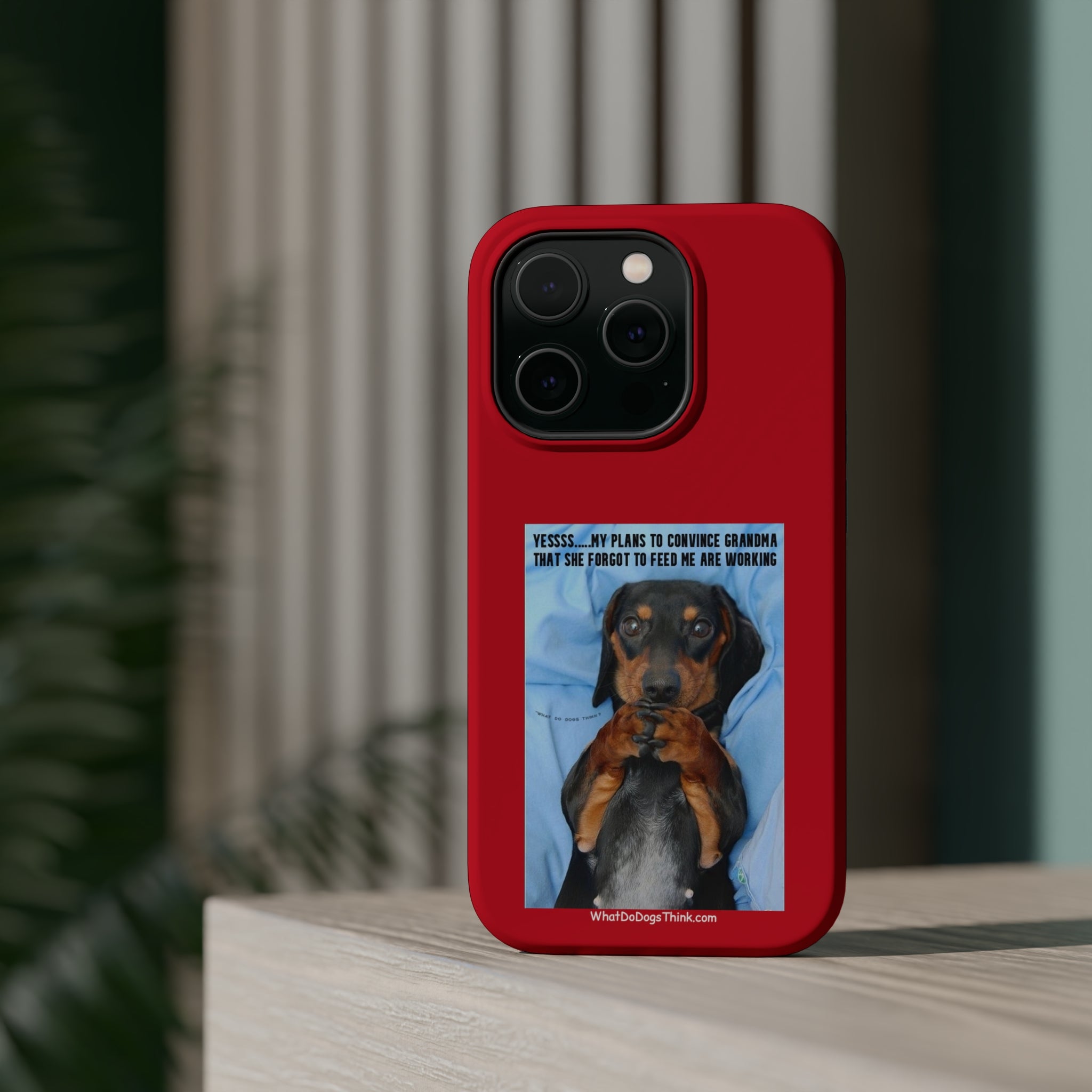 Grandma Red MagSafe Tough Cases