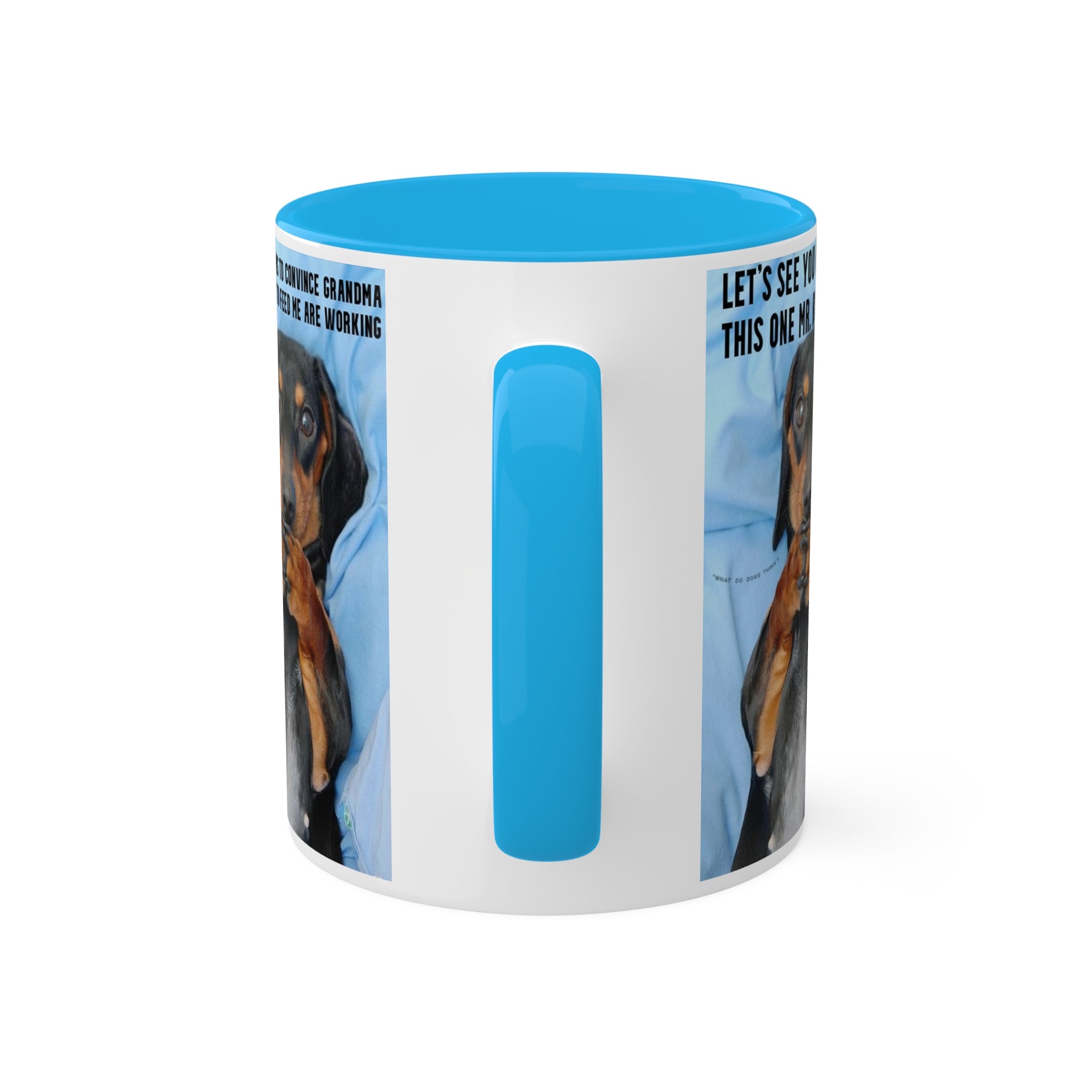 Devious Dachshund Mug