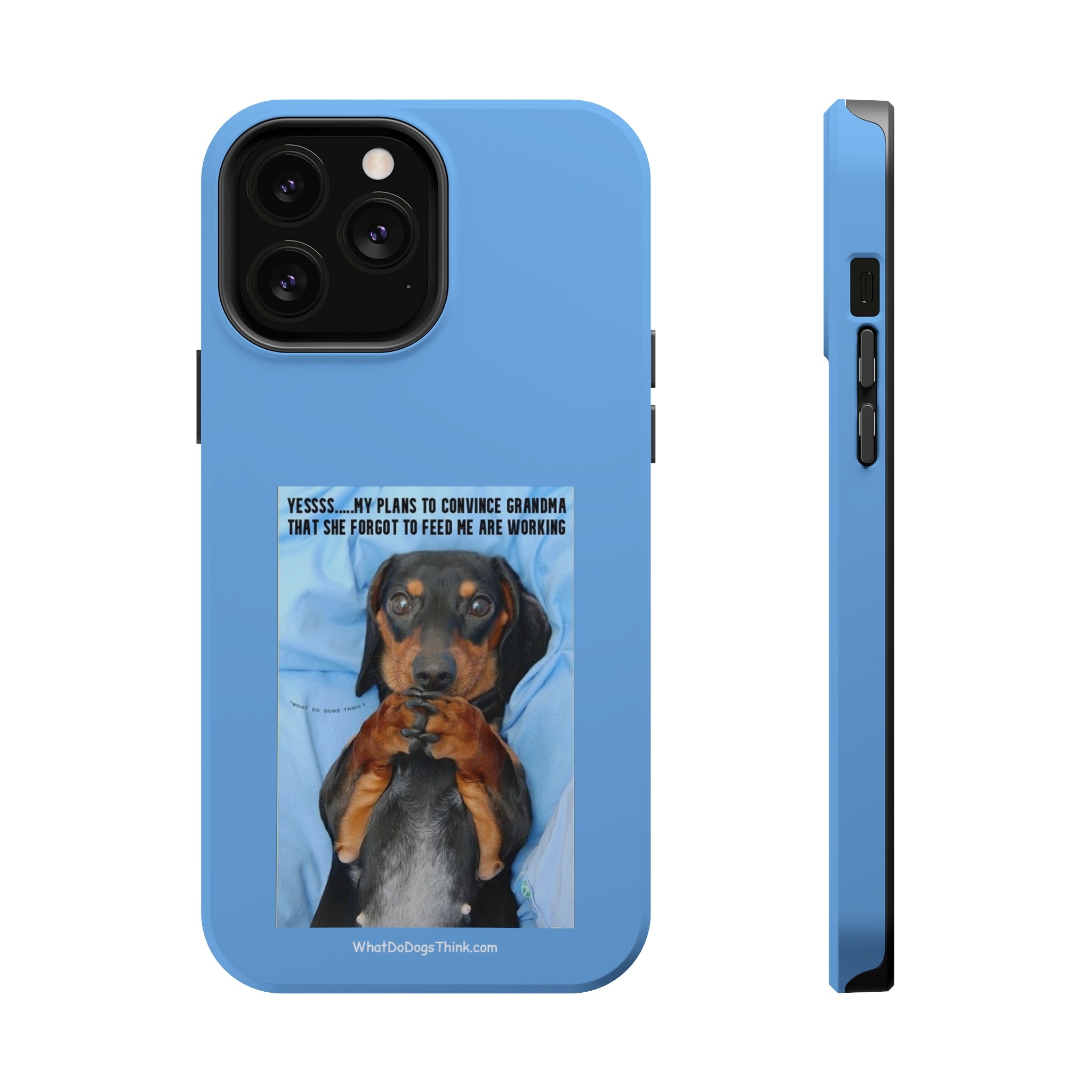 Grandma Blue MagSafe Tough Cases