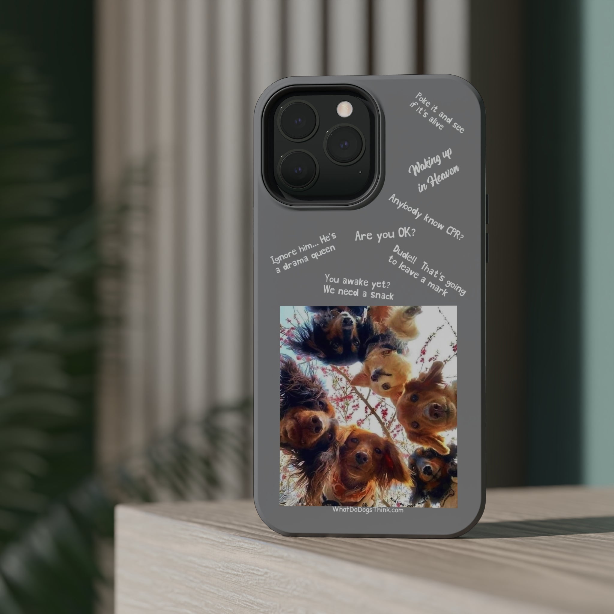 Are you OK? Compilation Grey MagSafe Tough Cases