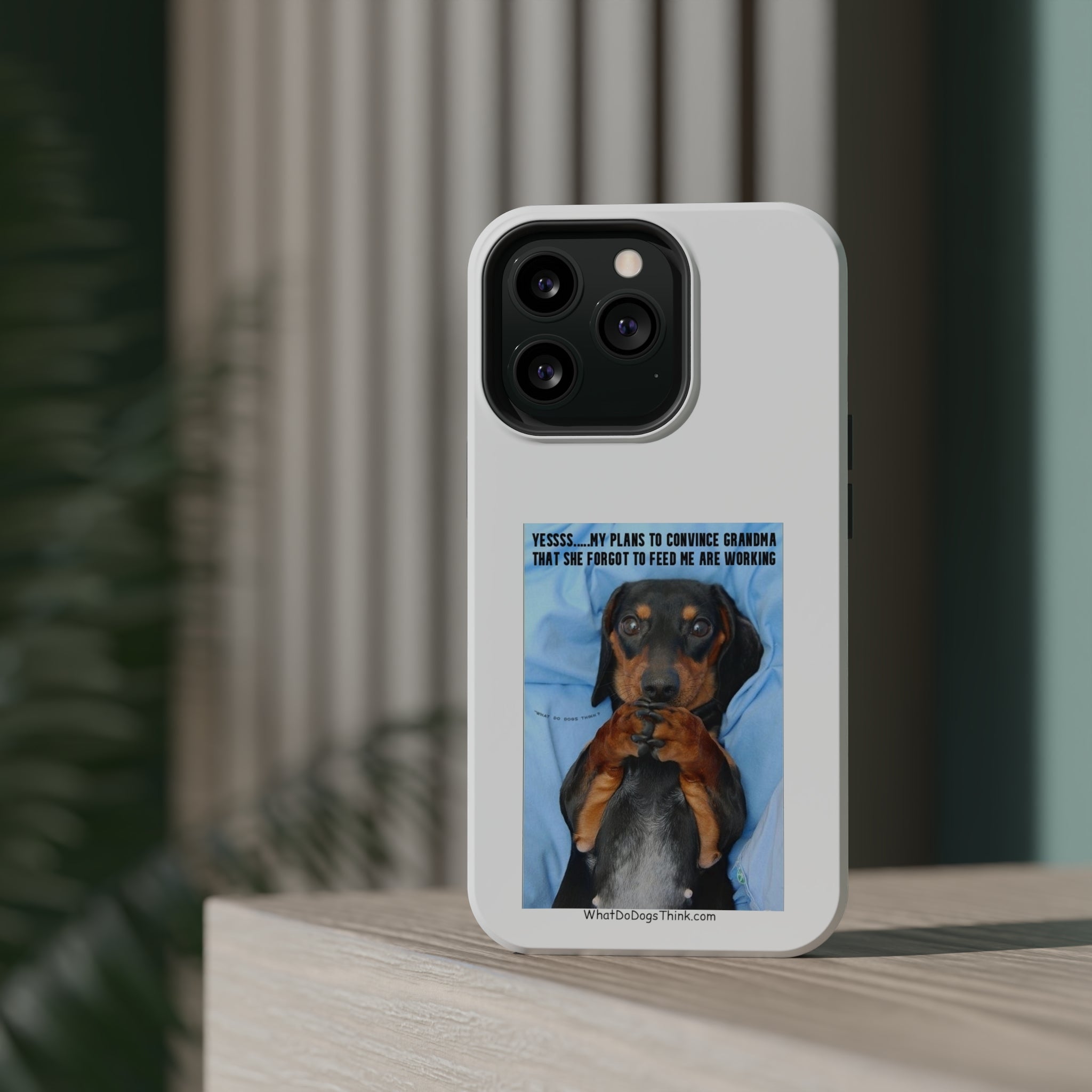 Grandma White MagSafe Tough Cases