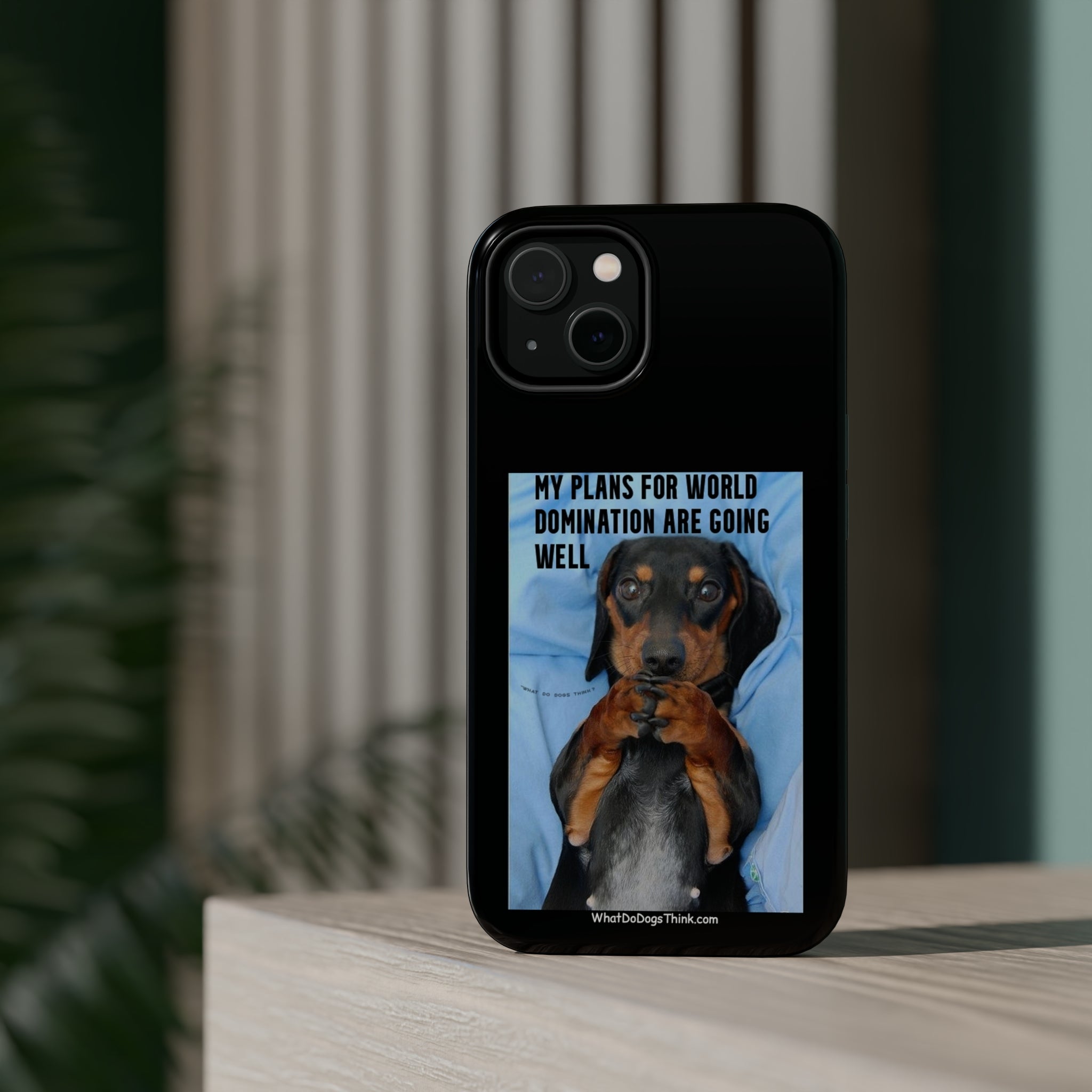 World Domination Black MagSafe Tough Cases