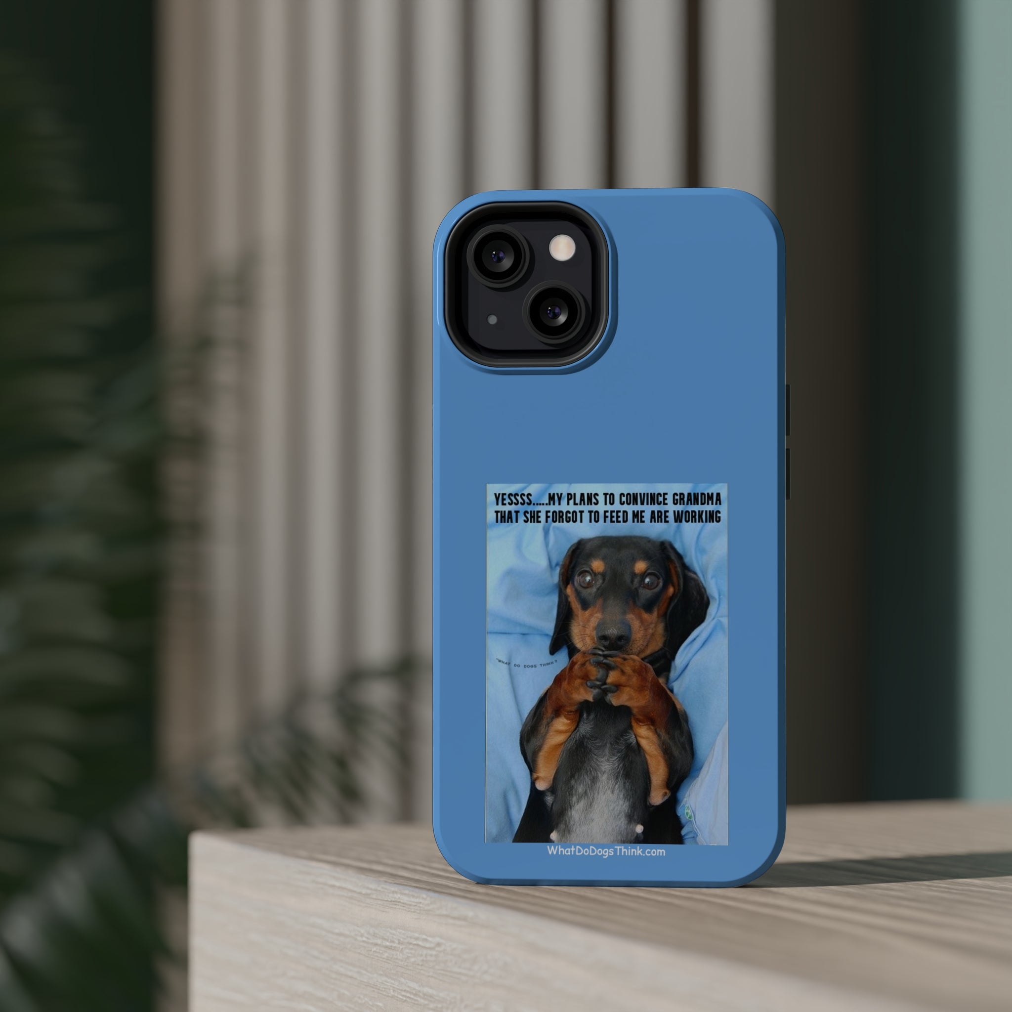 Grandma Blue MagSafe Tough Cases