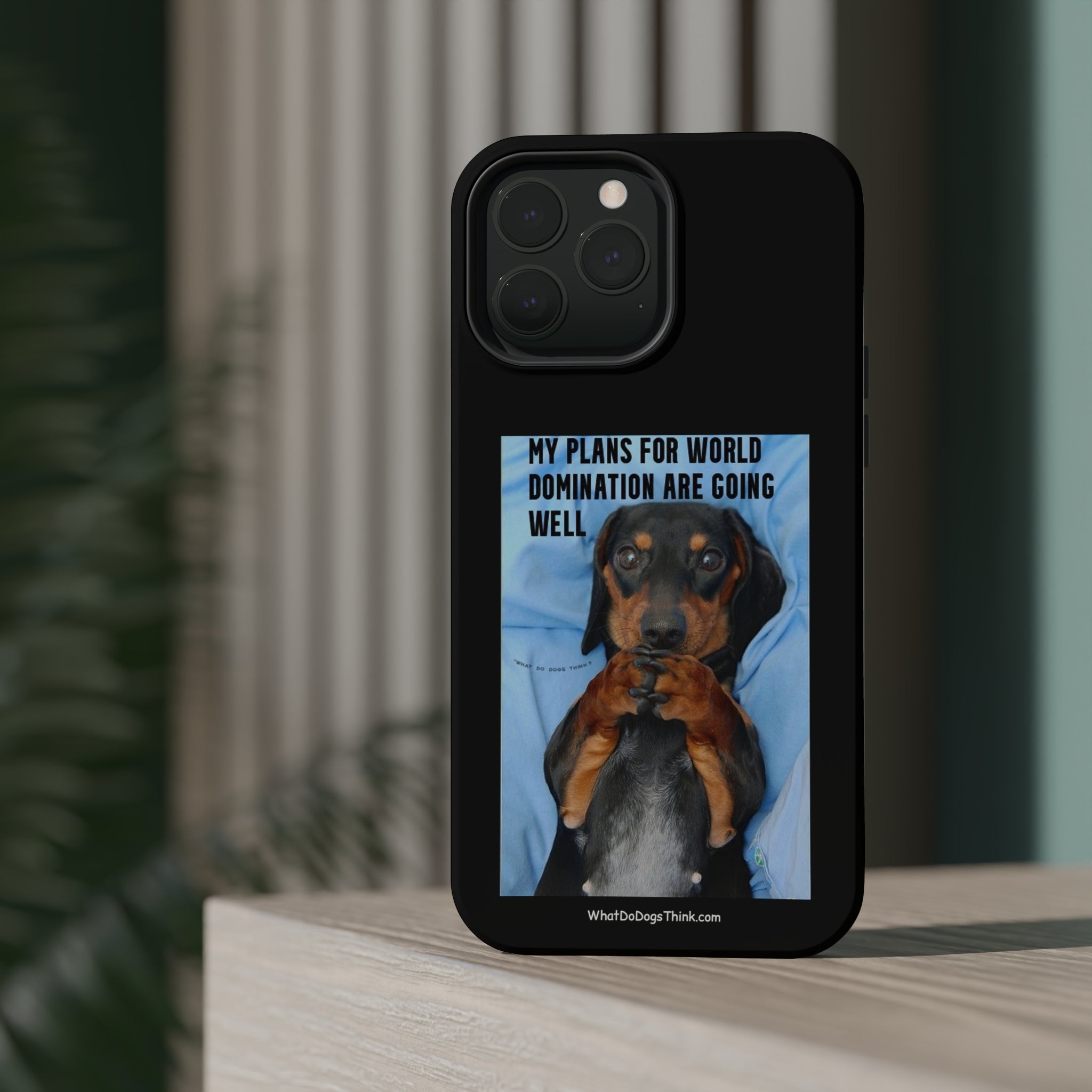 World Domination Black MagSafe Tough Cases