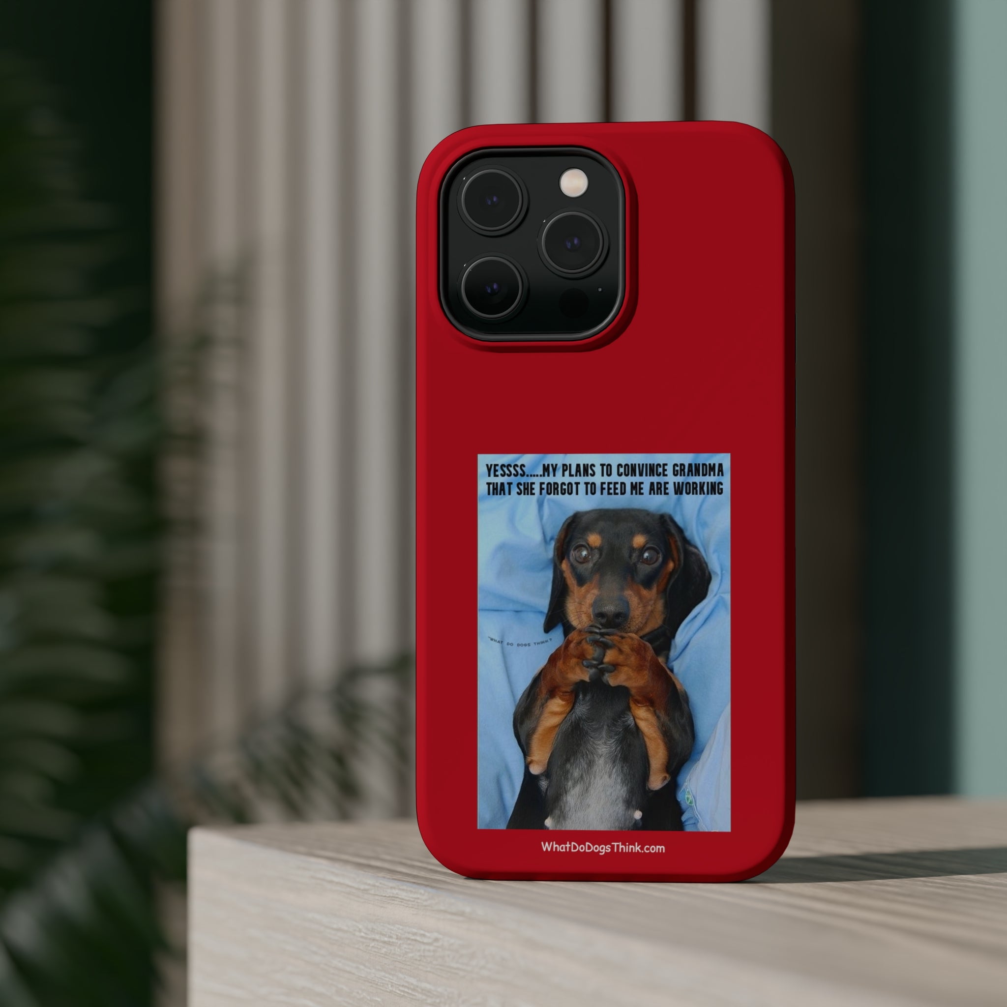 Grandma Red MagSafe Tough Cases