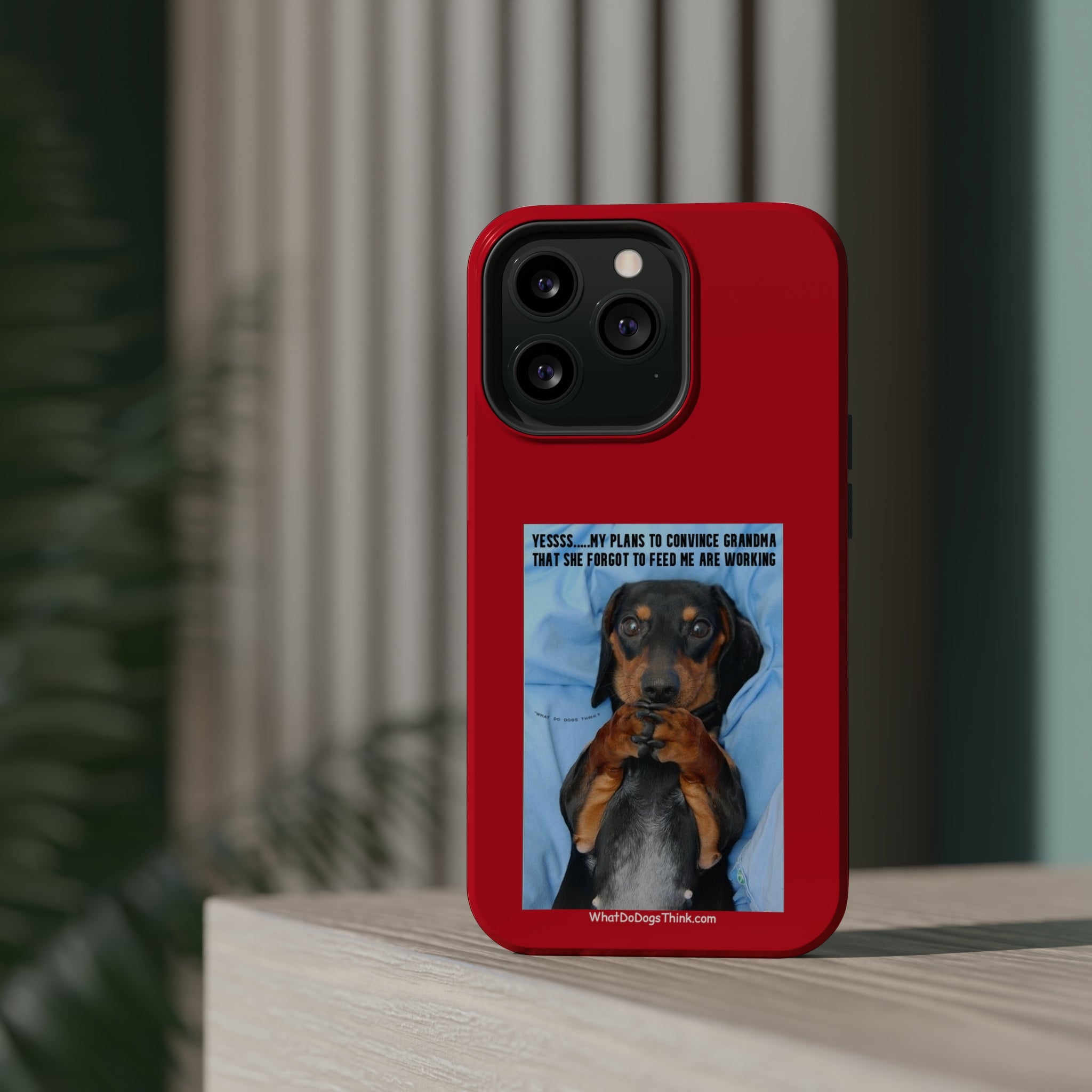 Grandma Red MagSafe Tough Cases