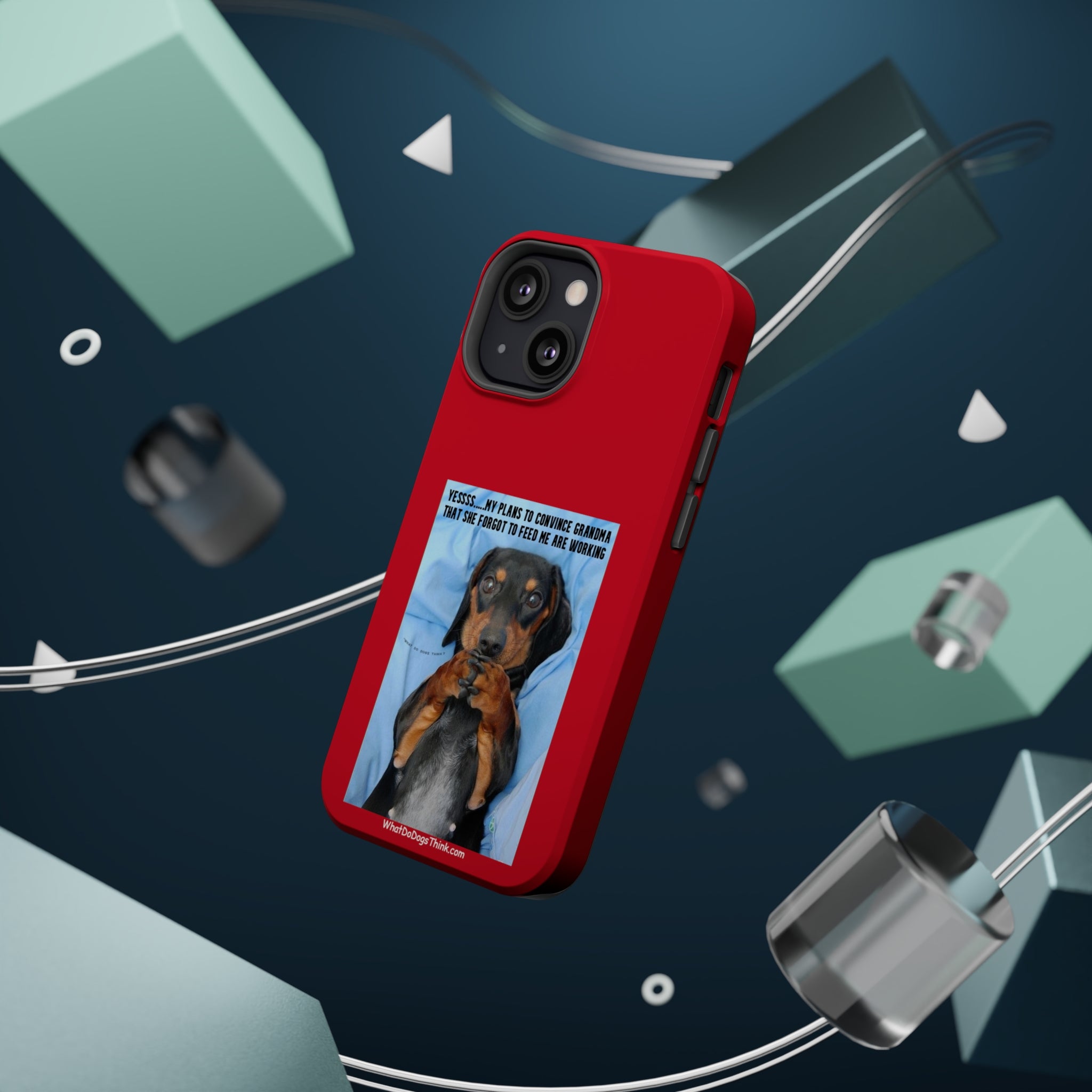 Grandma Red MagSafe Tough Cases