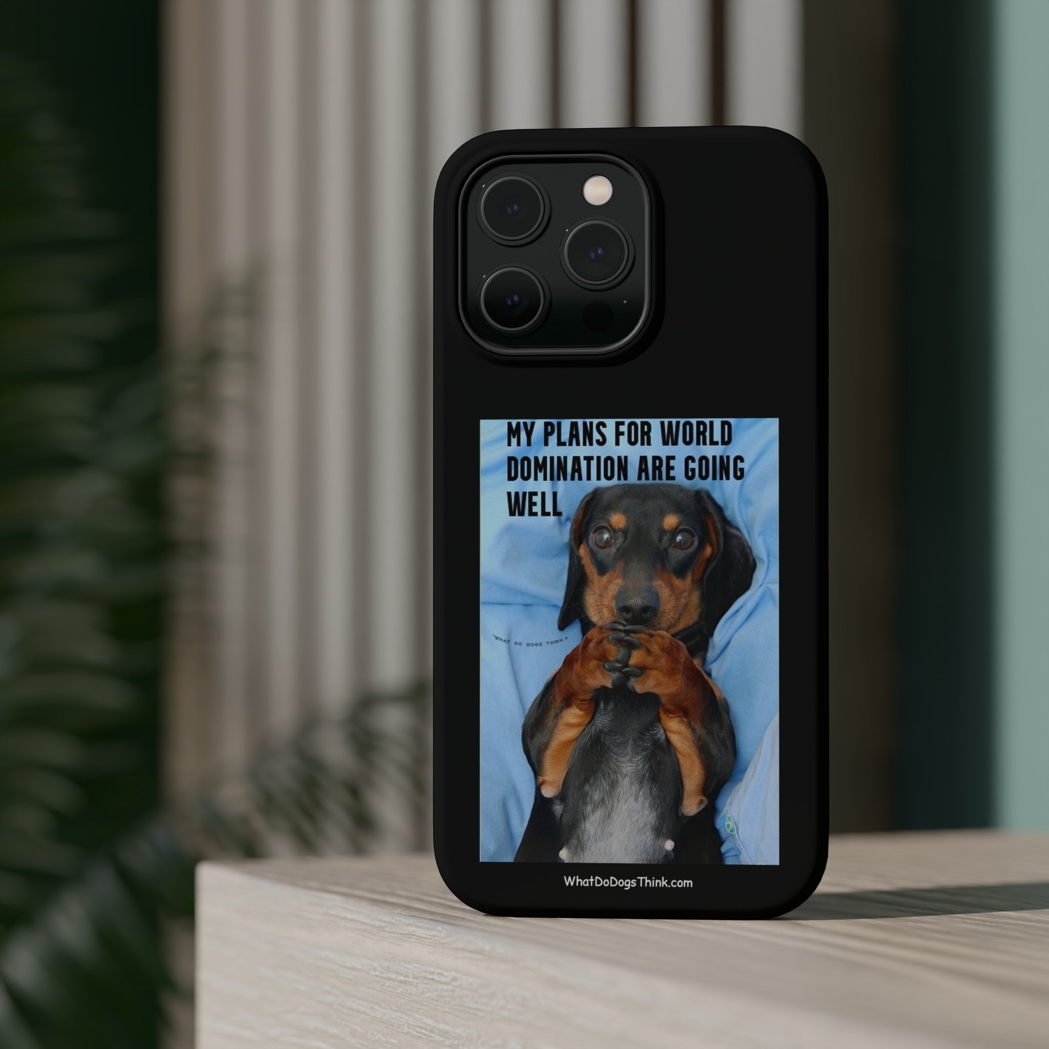 World Domination Black MagSafe Tough Cases