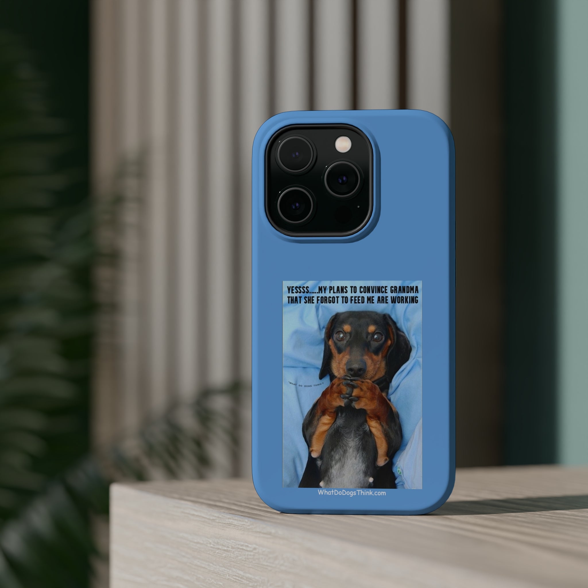 Grandma Blue MagSafe Tough Cases