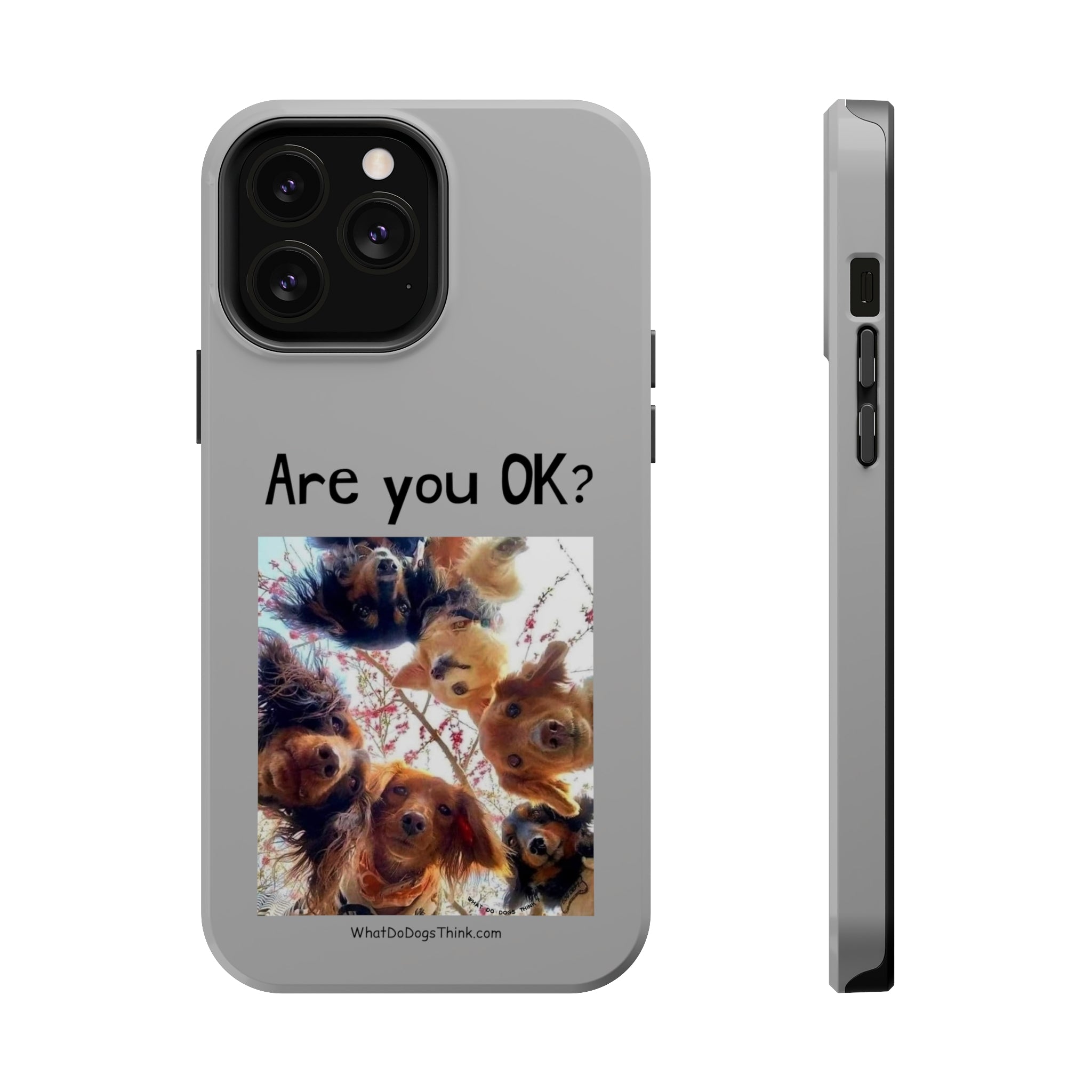 Are you OK? Grey MagSafe Tough Cases