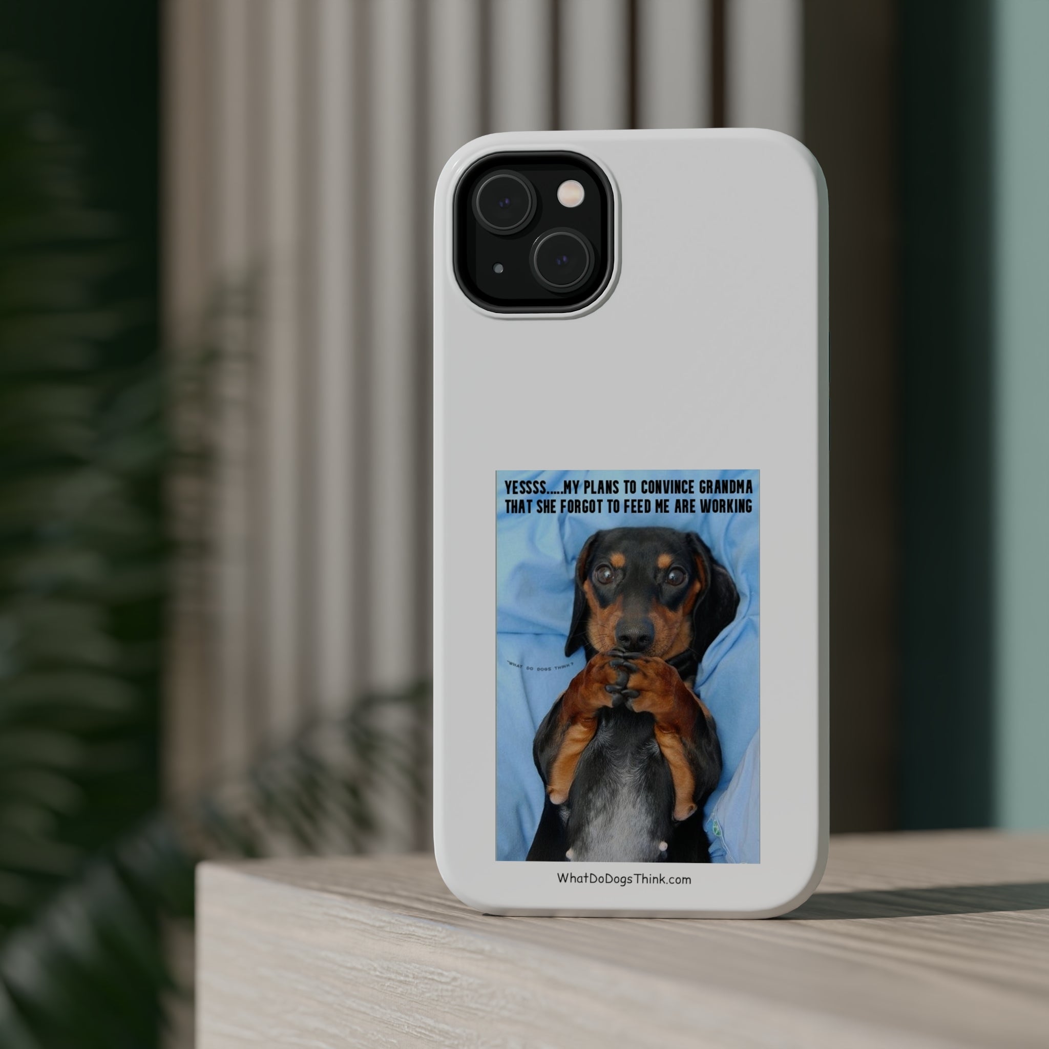 Grandma White MagSafe Tough Cases